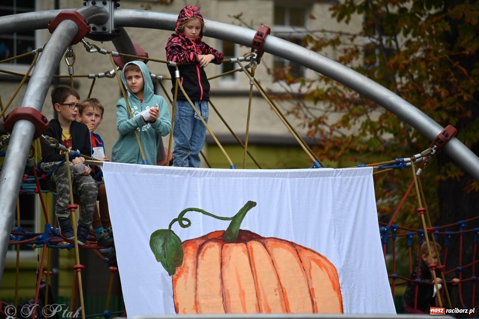 Zdjęcie w galerii na portalu naszraciborz.pl: Święto Dyni w Ogródku Jordanowskim: celebracja jesieni pełna barw i zabawy wiadomości z regionu