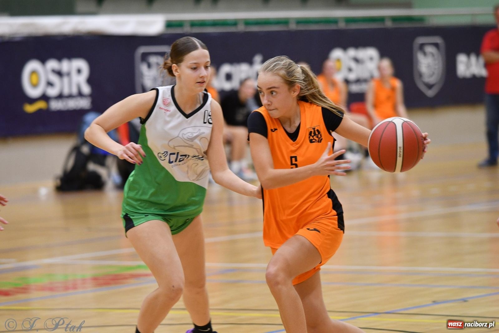 Zdjęcie w galerii na portalu naszraciborz.pl: Koszykówka. Porażka RKK AZS Racibórz na inaugurację sezonu [FOTO i WIDEO] wiadomości z regionu