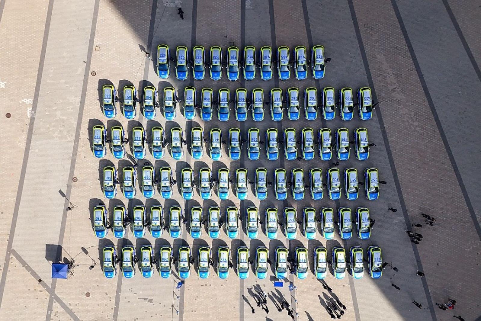 Zdjęcie w galerii na portalu naszraciborz.pl: Śląska policja dostała 85 nowych radiowozów. Trzy toyoty trafią do Raciborza wiadomości z regionu