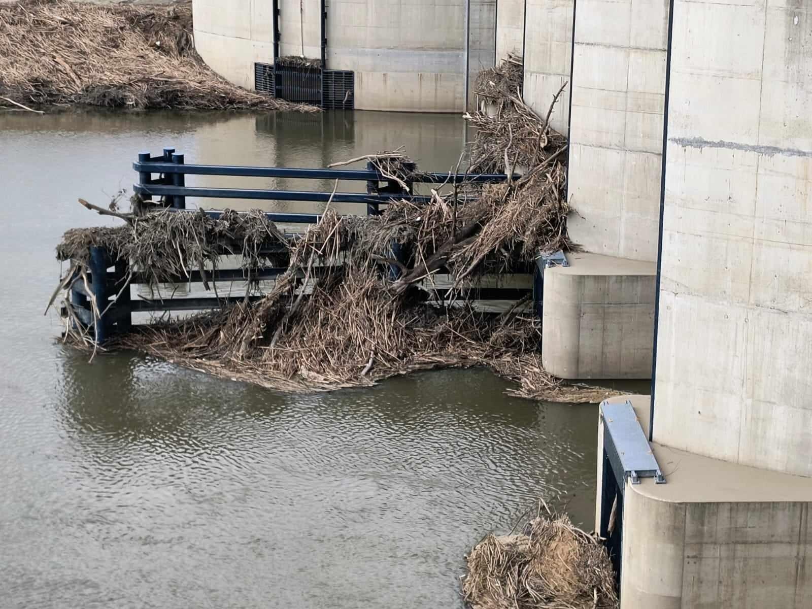 Zdjęcie w galerii na portalu naszraciborz.pl: Zbiornik Racibórz Dolny zakończył piętrzenie powodziowe. Ruszyło wielkie sprzątanie wiadomości z regionu