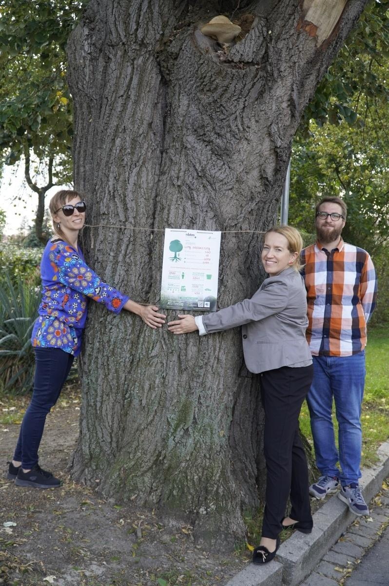 Zdjęcie w galerii na portalu naszraciborz.pl: Drzewa Raciborza w europejskiej kampanii wyceny wartości drzew #EUTreeTag wiadomości z regionu