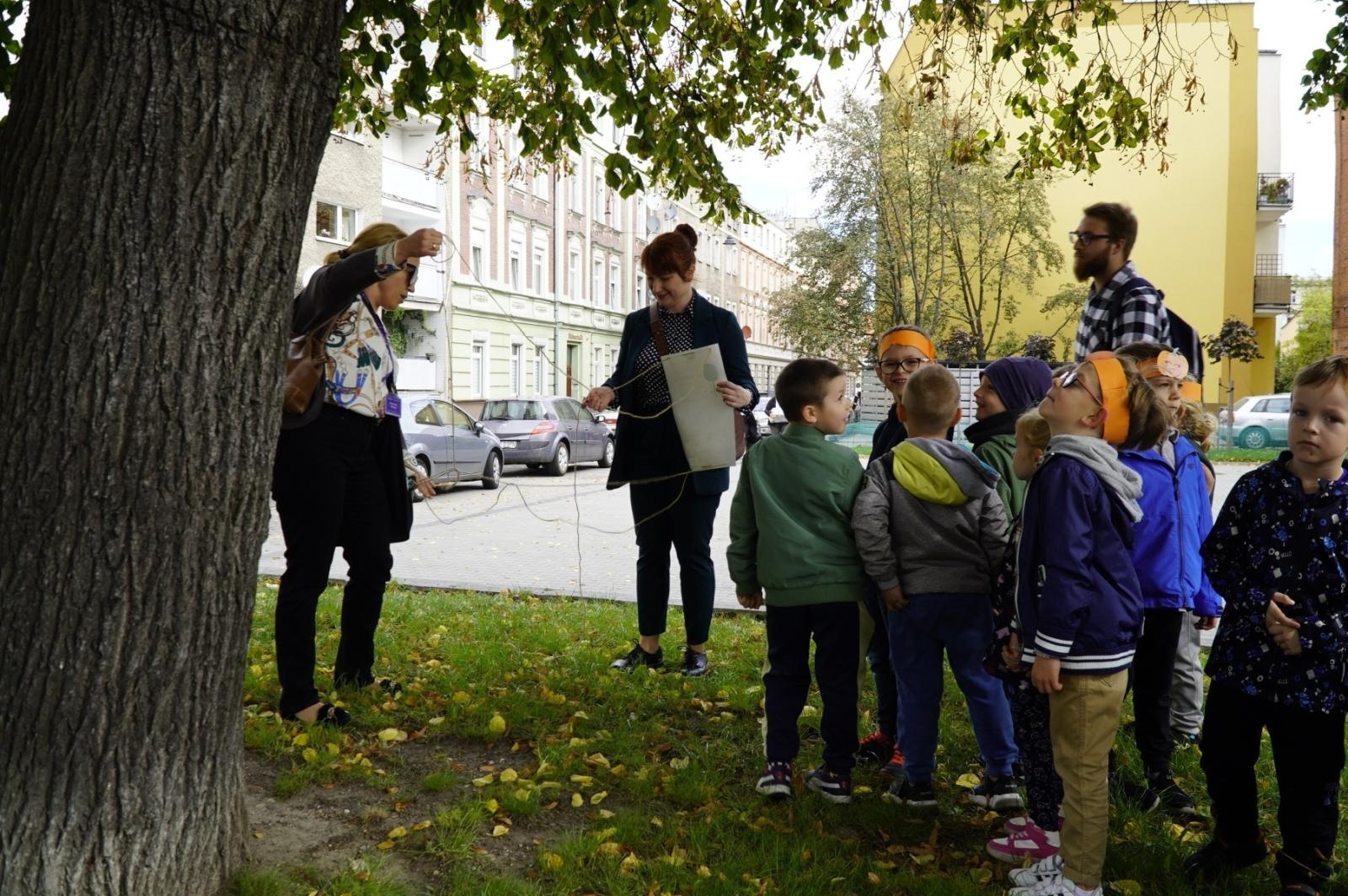 Zdjęcie w galerii na portalu naszraciborz.pl: Drzewa Raciborza w europejskiej kampanii wyceny wartości drzew #EUTreeTag wiadomości z regionu