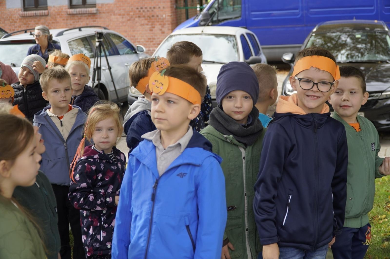 Zdjęcie w galerii na portalu naszraciborz.pl: Drzewa Raciborza w europejskiej kampanii wyceny wartości drzew #EUTreeTag wiadomości z regionu