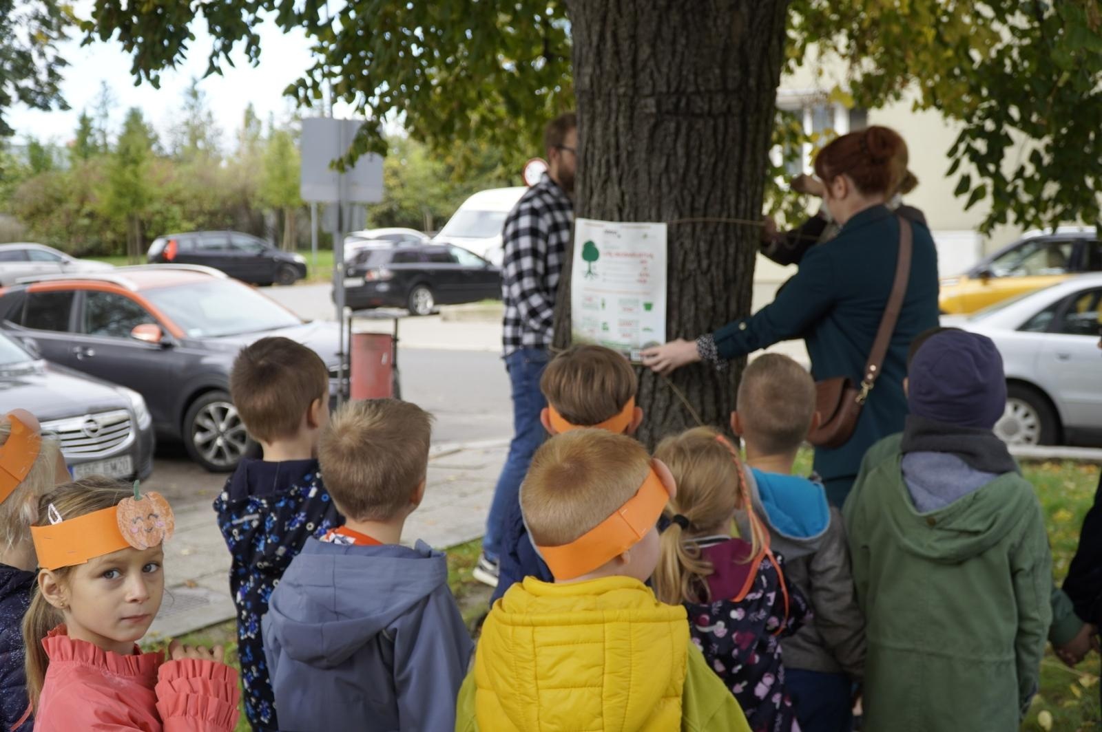 Zdjęcie w galerii na portalu naszraciborz.pl: Drzewa Raciborza w europejskiej kampanii wyceny wartości drzew #EUTreeTag wiadomości z regionu