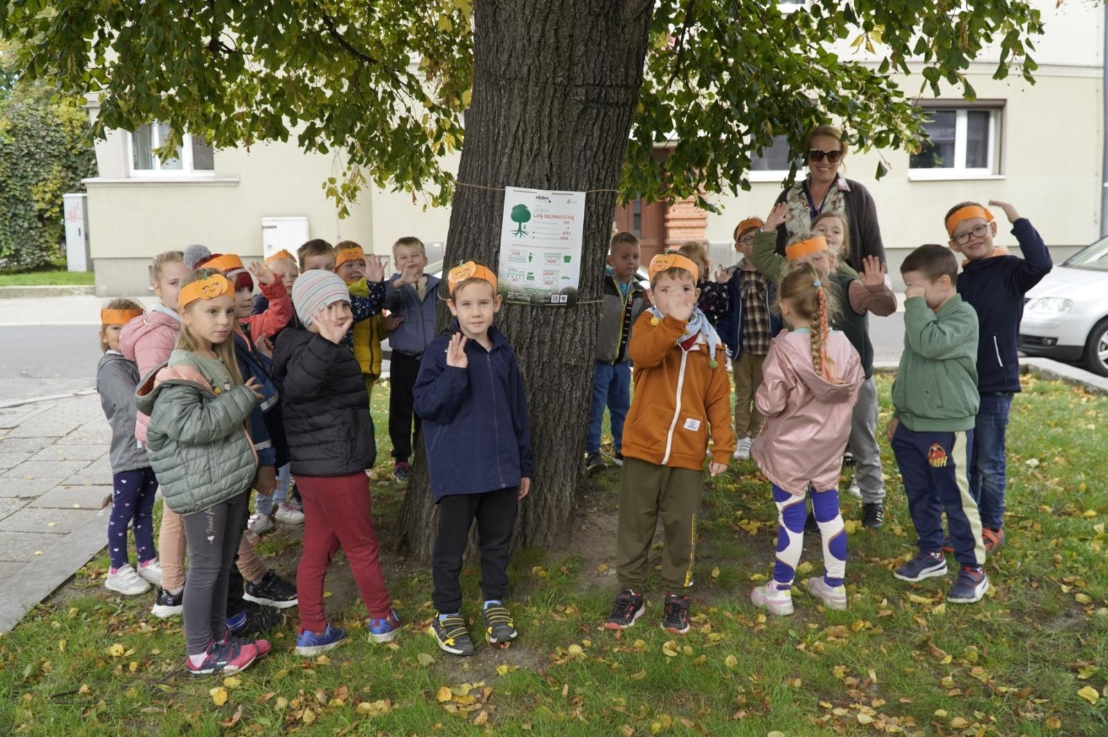 Zdjęcie w galerii na portalu naszraciborz.pl: Drzewa Raciborza w europejskiej kampanii wyceny wartości drzew #EUTreeTag wiadomości z regionu