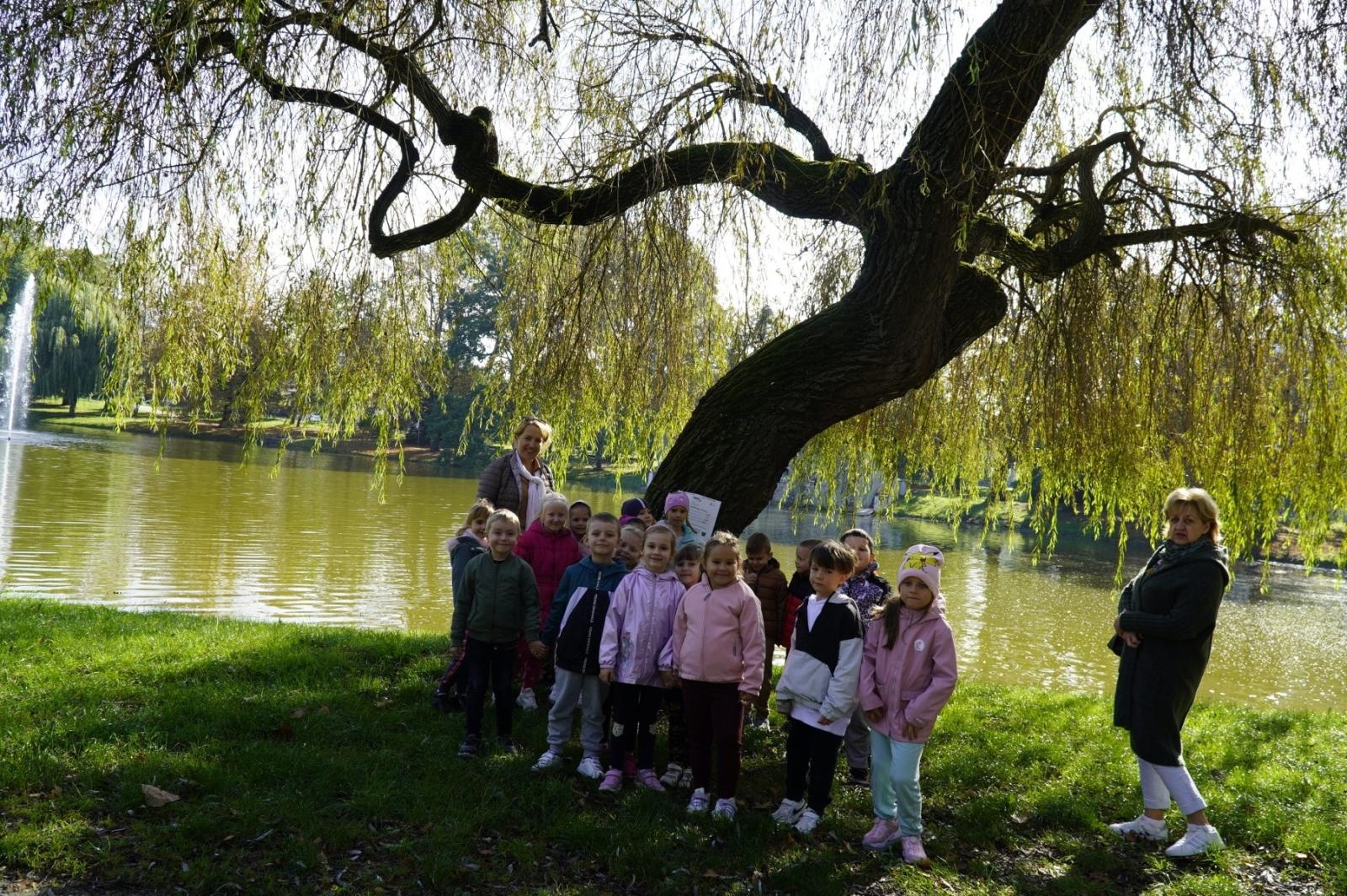 Zdjęcie w galerii na portalu naszraciborz.pl: Drzewa Raciborza w europejskiej kampanii wyceny wartości drzew #EUTreeTag wiadomości z regionu