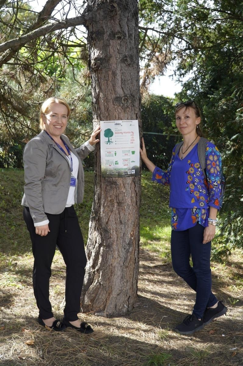 Zdjęcie w galerii na portalu naszraciborz.pl: Drzewa Raciborza w europejskiej kampanii wyceny wartości drzew #EUTreeTag wiadomości z regionu