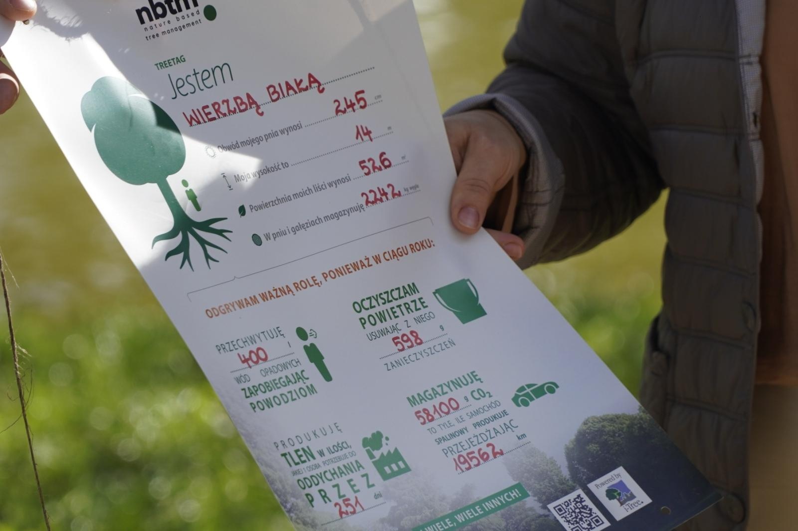 Zdjęcie w galerii na portalu naszraciborz.pl: Drzewa Raciborza w europejskiej kampanii wyceny wartości drzew #EUTreeTag wiadomości z regionu