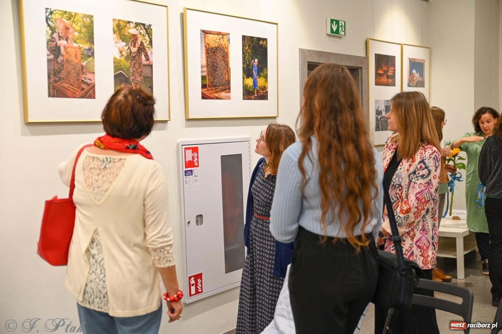 Zdjęcie w galerii na portalu naszraciborz.pl: Sztuka przeciw wojnie – Spotkanie z Tetianą Oleksiienką i Tają Levchenko w Bibliotece Raciborskiej wiadomości z regionu