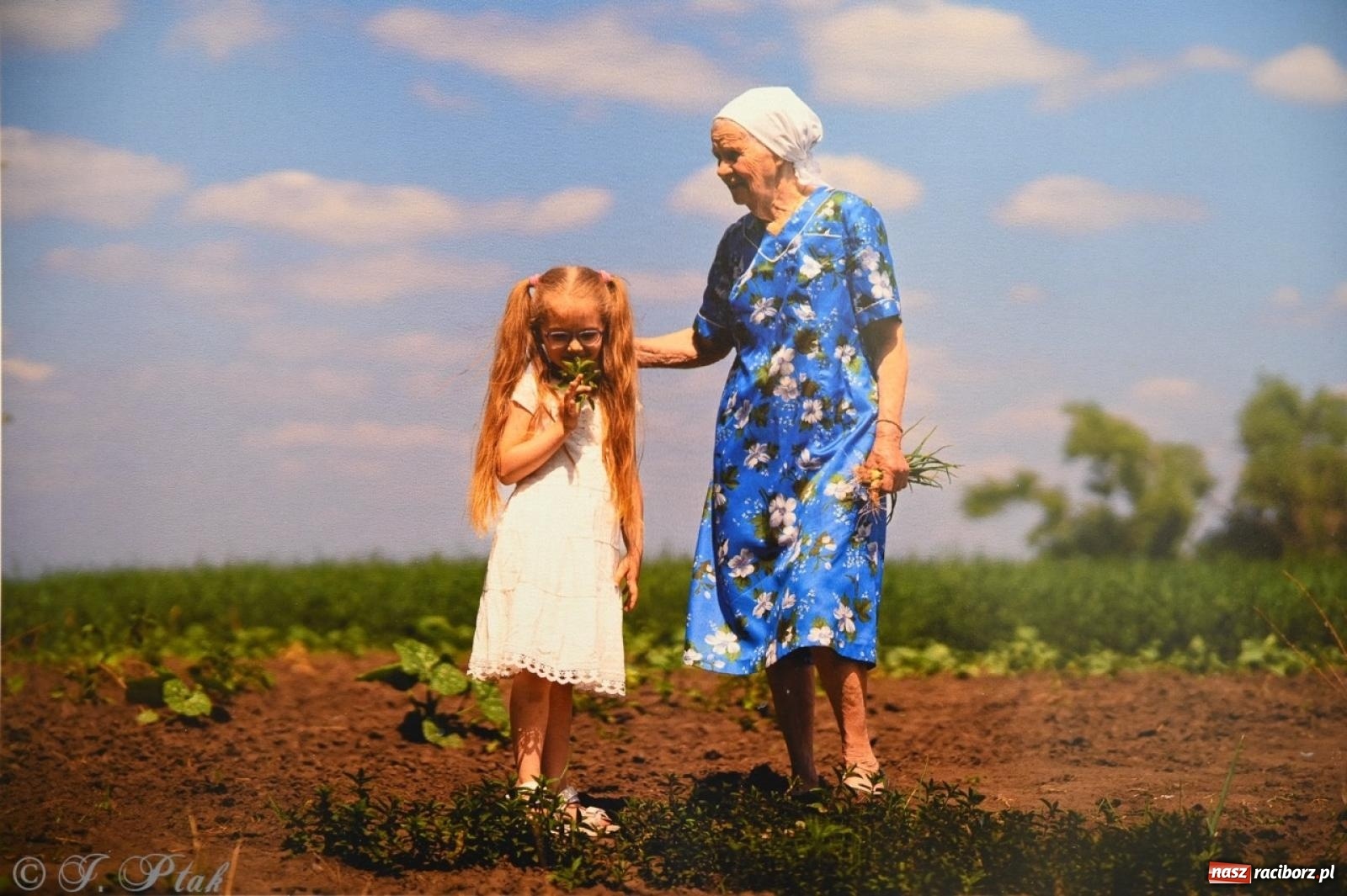 Zdjęcie w galerii na portalu naszraciborz.pl: Sztuka przeciw wojnie – Spotkanie z Tetianą Oleksiienką i Tają Levchenko w Bibliotece Raciborskiej wiadomości z regionu