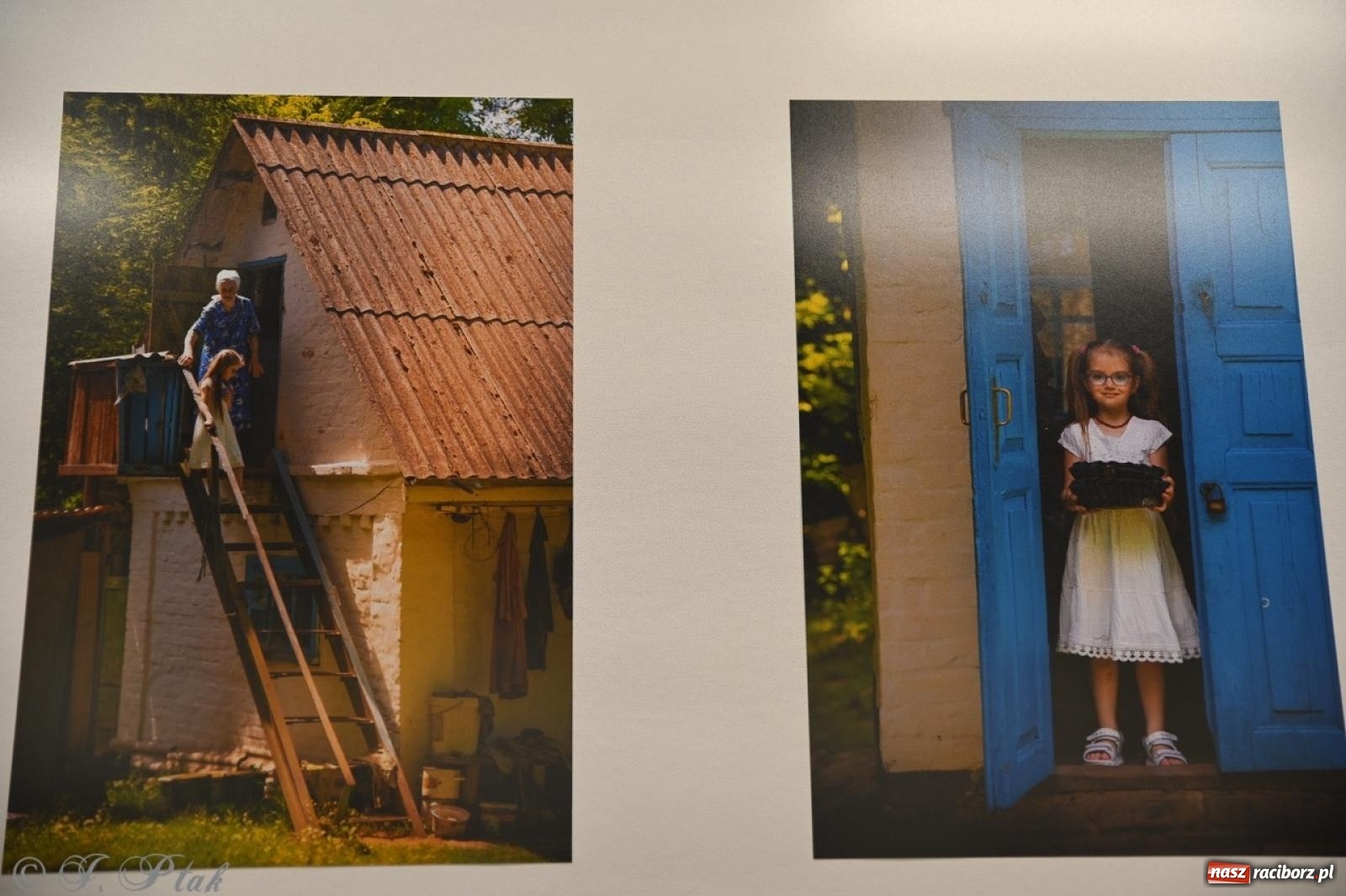 Zdjęcie w galerii na portalu naszraciborz.pl: Sztuka przeciw wojnie – Spotkanie z Tetianą Oleksiienką i Tają Levchenko w Bibliotece Raciborskiej wiadomości z regionu