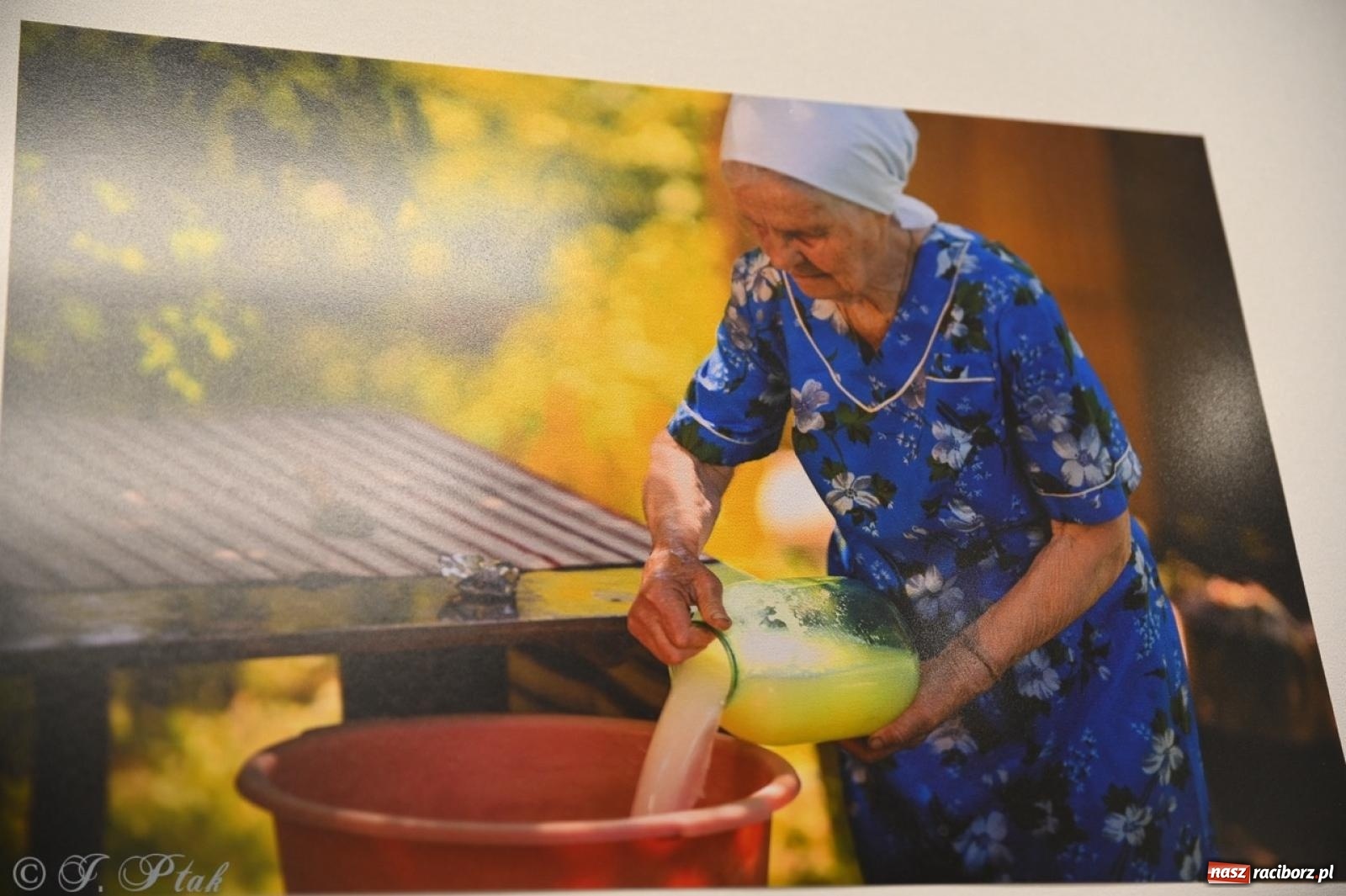 Zdjęcie w galerii na portalu naszraciborz.pl: Sztuka przeciw wojnie – Spotkanie z Tetianą Oleksiienką i Tają Levchenko w Bibliotece Raciborskiej wiadomości z regionu