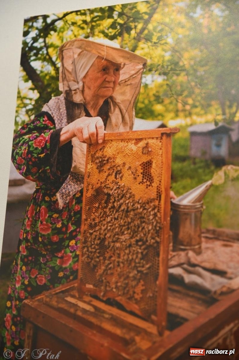 Zdjęcie w galerii na portalu naszraciborz.pl: Sztuka przeciw wojnie – Spotkanie z Tetianą Oleksiienką i Tają Levchenko w Bibliotece Raciborskiej wiadomości z regionu