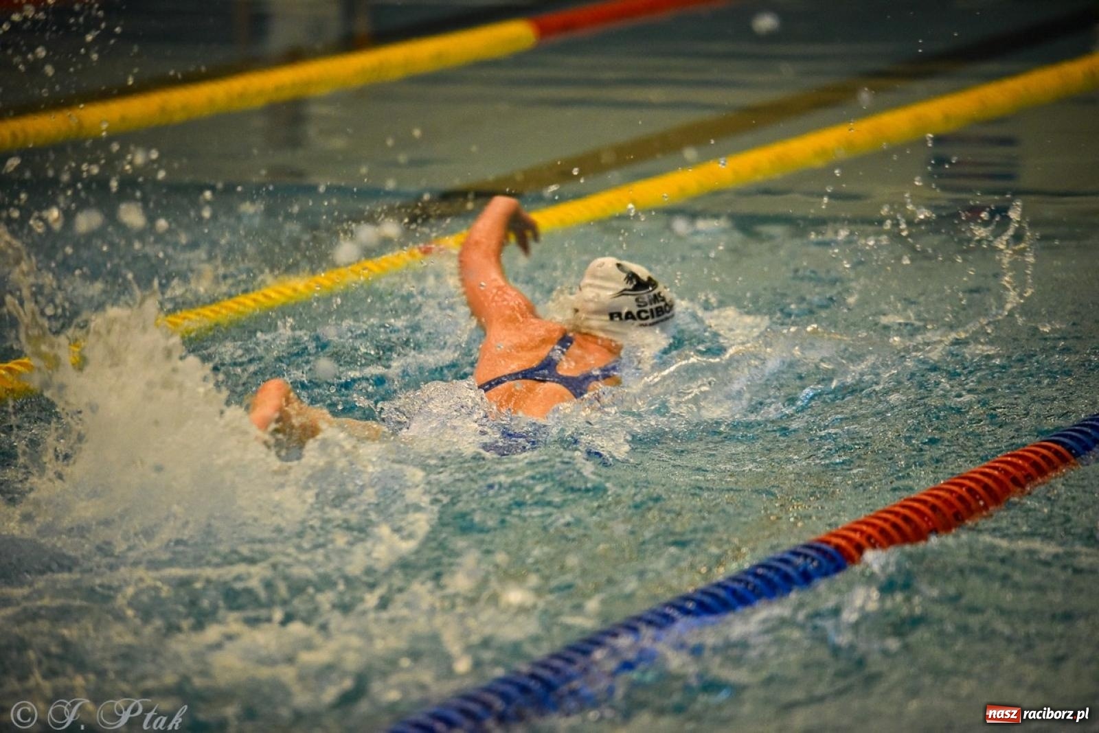 Zdjęcie w galerii na portalu naszraciborz.pl: Rywalizacja pływacka o Puchar Marszałka Województwa Śląskiego na krótkim basenie w Raciborzu wiadomości z regionu