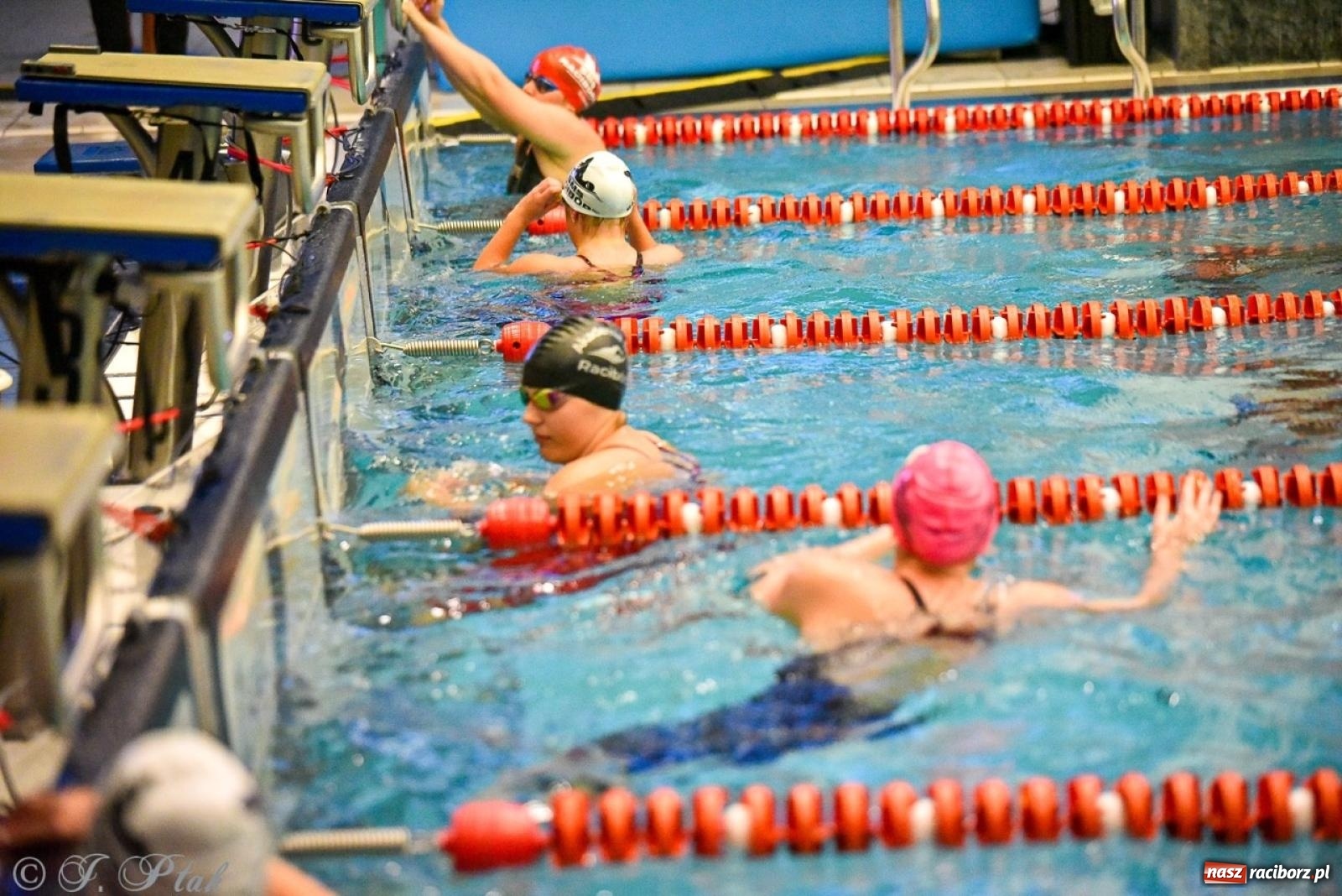 Zdjęcie w galerii na portalu naszraciborz.pl: Rywalizacja pływacka o Puchar Marszałka Województwa Śląskiego na krótkim basenie w Raciborzu wiadomości z regionu