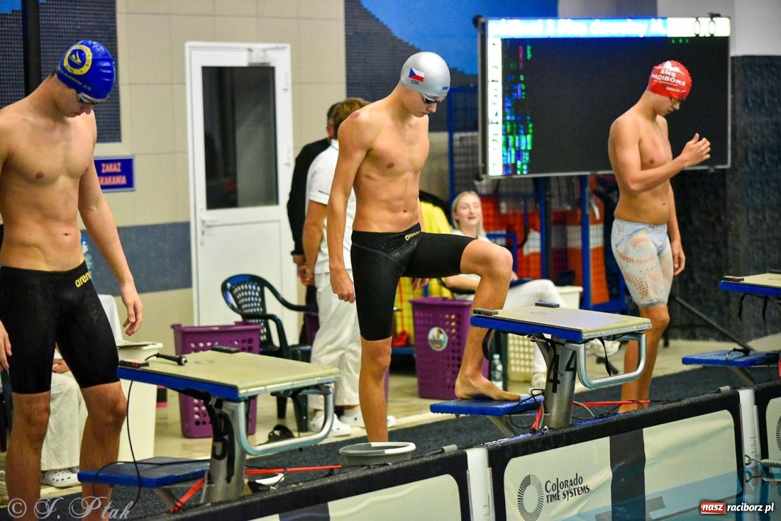 Zdjęcie w galerii na portalu naszraciborz.pl: Rywalizacja pływacka o Puchar Marszałka Województwa Śląskiego na krótkim basenie w Raciborzu wiadomości z regionu