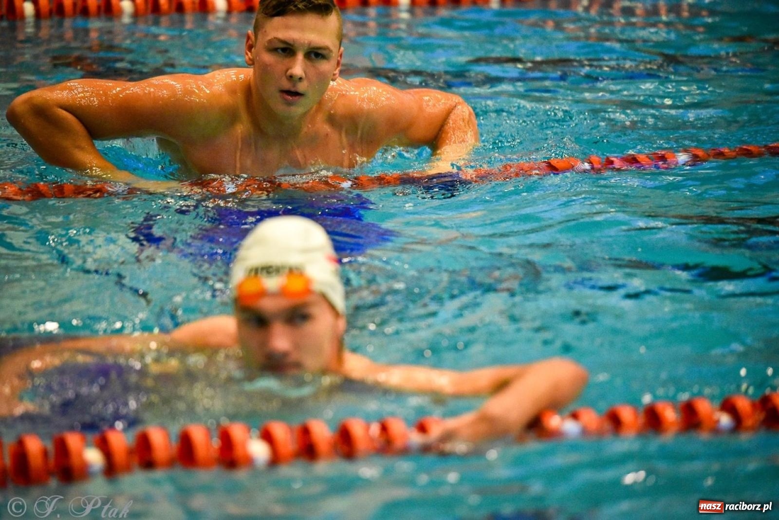 Zdjęcie w galerii na portalu naszraciborz.pl: Rywalizacja pływacka o Puchar Marszałka Województwa Śląskiego na krótkim basenie w Raciborzu wiadomości z regionu