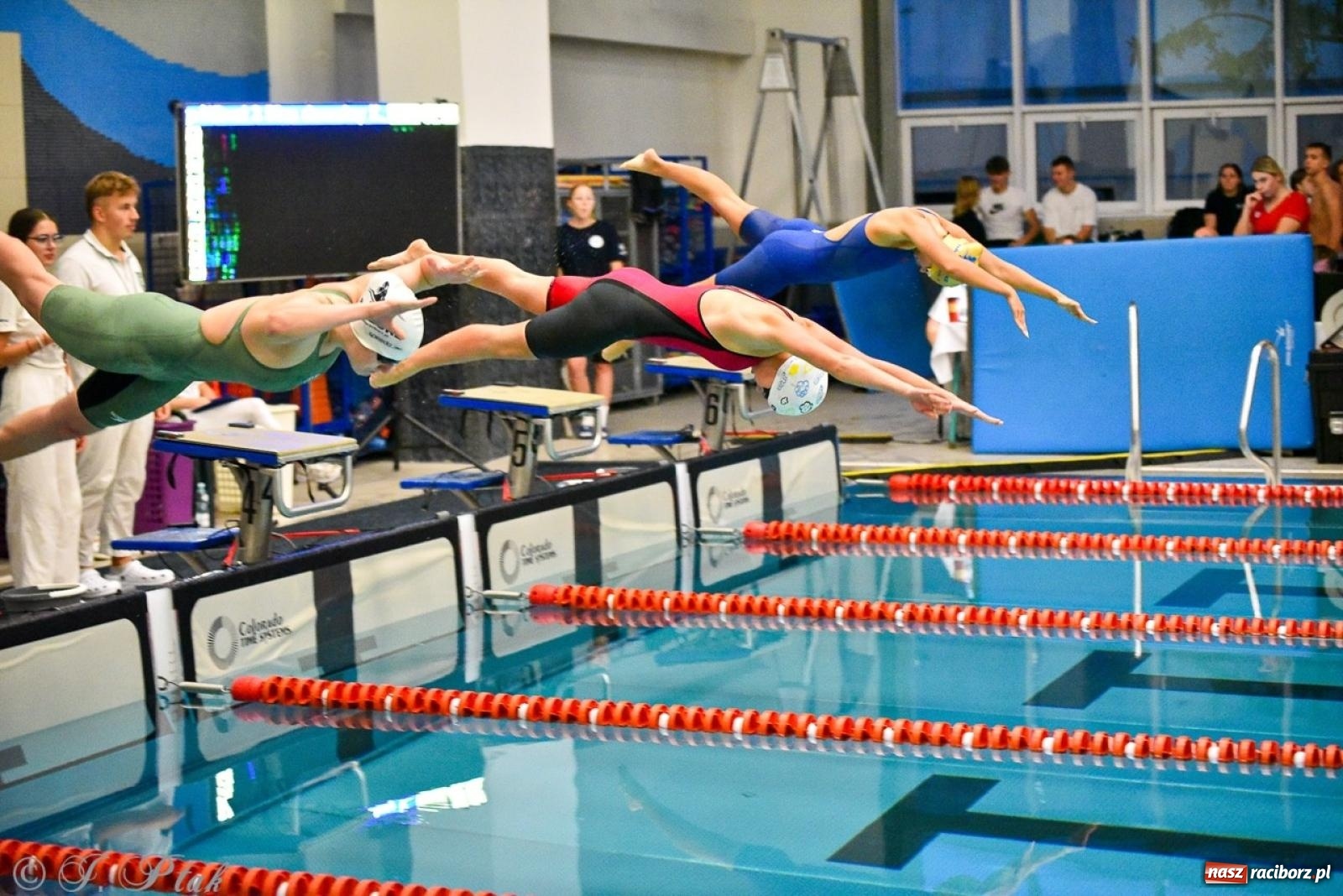 Zdjęcie w galerii na portalu naszraciborz.pl: Rywalizacja pływacka o Puchar Marszałka Województwa Śląskiego na krótkim basenie w Raciborzu wiadomości z regionu