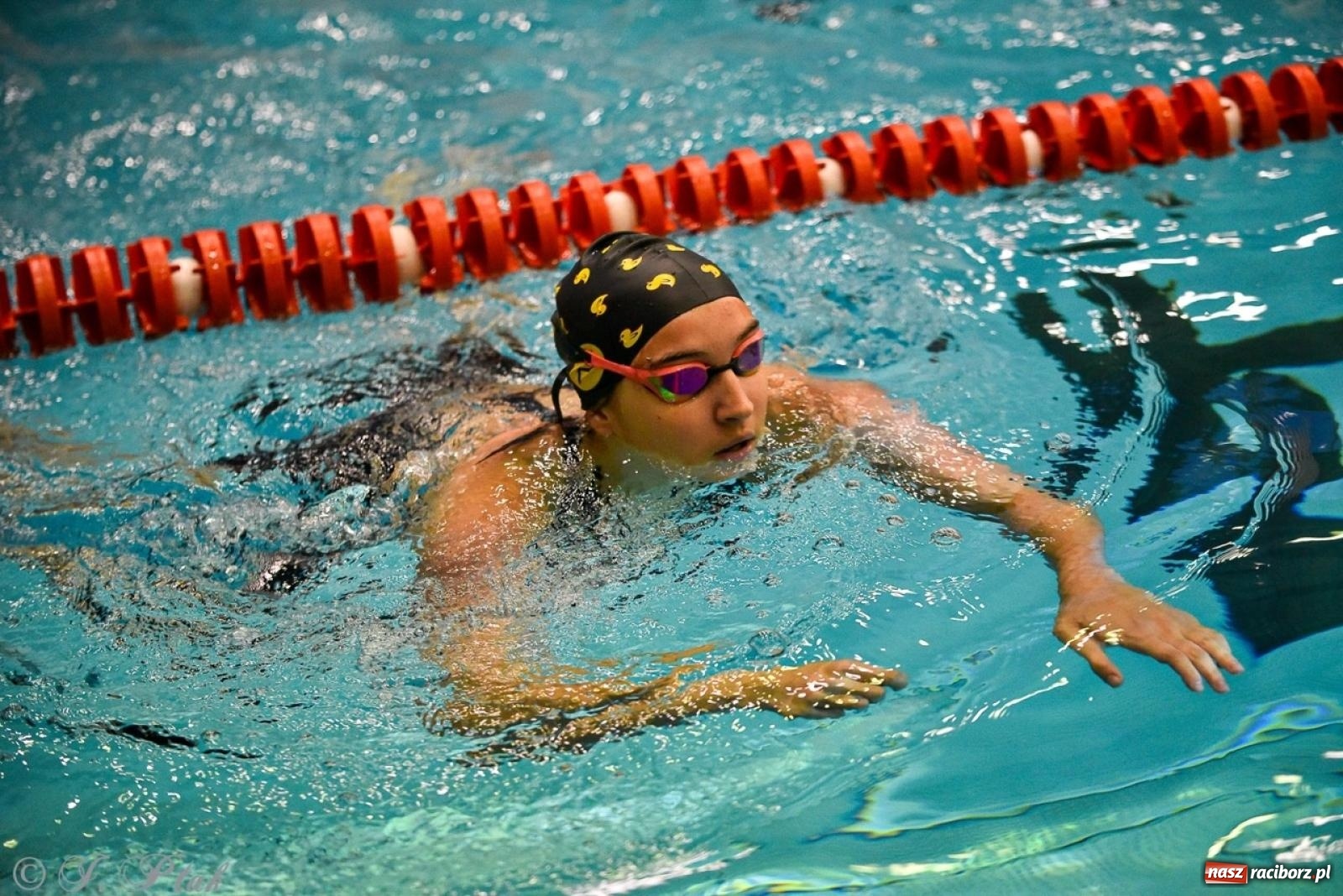 Zdjęcie w galerii na portalu naszraciborz.pl: Rywalizacja pływacka o Puchar Marszałka Województwa Śląskiego na krótkim basenie w Raciborzu wiadomości z regionu