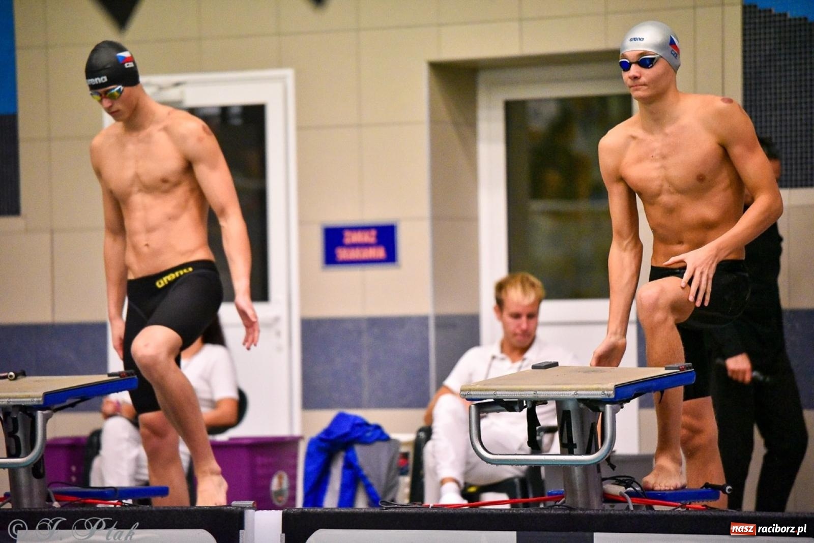 Zdjęcie w galerii na portalu naszraciborz.pl: Rywalizacja pływacka o Puchar Marszałka Województwa Śląskiego na krótkim basenie w Raciborzu wiadomości z regionu