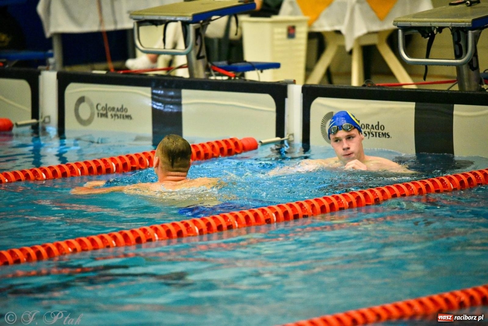 Zdjęcie w galerii na portalu naszraciborz.pl: Rywalizacja pływacka o Puchar Marszałka Województwa Śląskiego na krótkim basenie w Raciborzu wiadomości z regionu