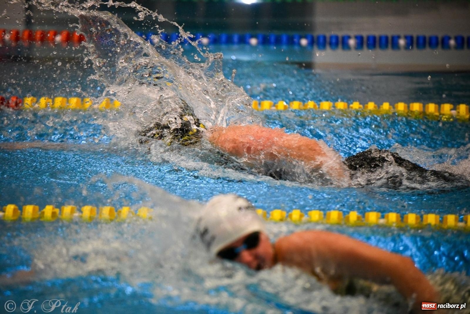 Zdjęcie w galerii na portalu naszraciborz.pl: Rywalizacja pływacka o Puchar Marszałka Województwa Śląskiego na krótkim basenie w Raciborzu wiadomości z regionu