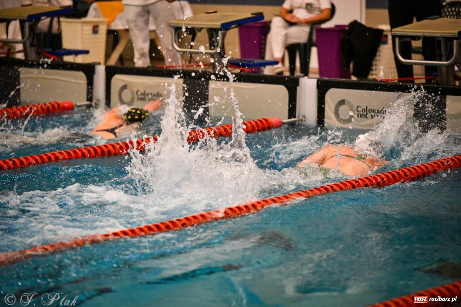 Zdjęcie w galerii na portalu naszraciborz.pl: Rywalizacja pływacka o Puchar Marszałka Województwa Śląskiego na krótkim basenie w Raciborzu wiadomości z regionu