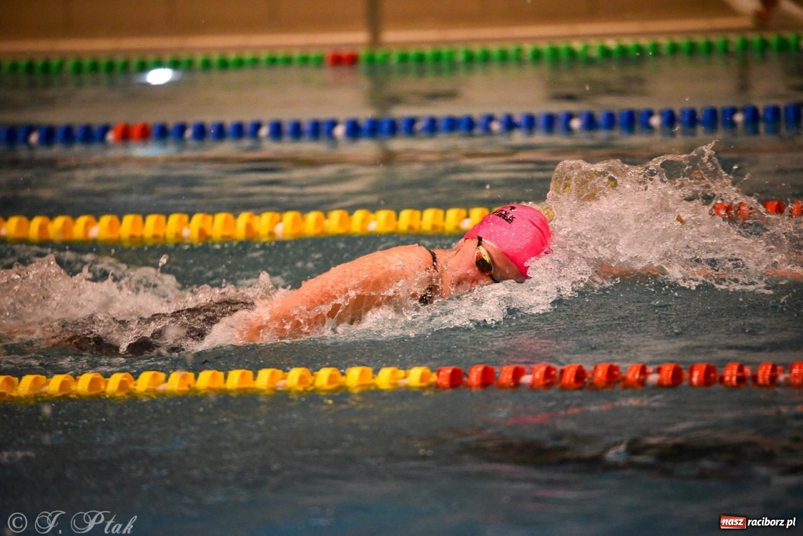 Zdjęcie w galerii na portalu naszraciborz.pl: Rywalizacja pływacka o Puchar Marszałka Województwa Śląskiego na krótkim basenie w Raciborzu wiadomości z regionu