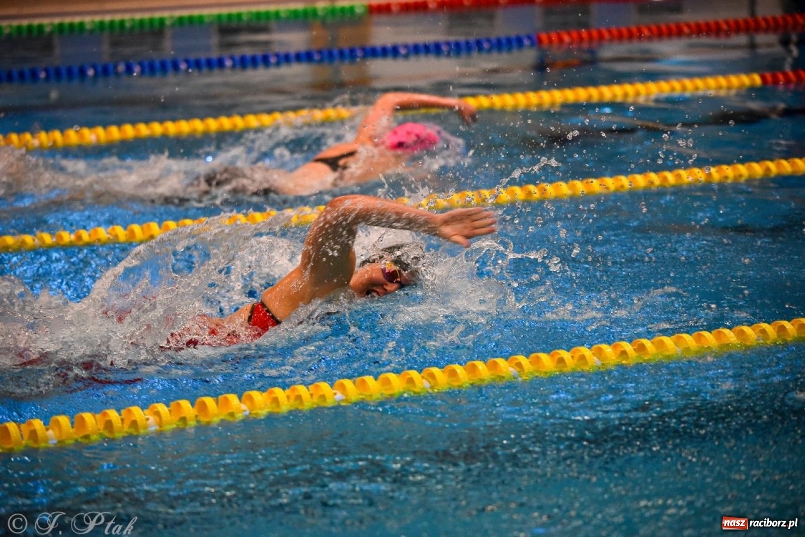 Zdjęcie w galerii na portalu naszraciborz.pl: Rywalizacja pływacka o Puchar Marszałka Województwa Śląskiego na krótkim basenie w Raciborzu wiadomości z regionu