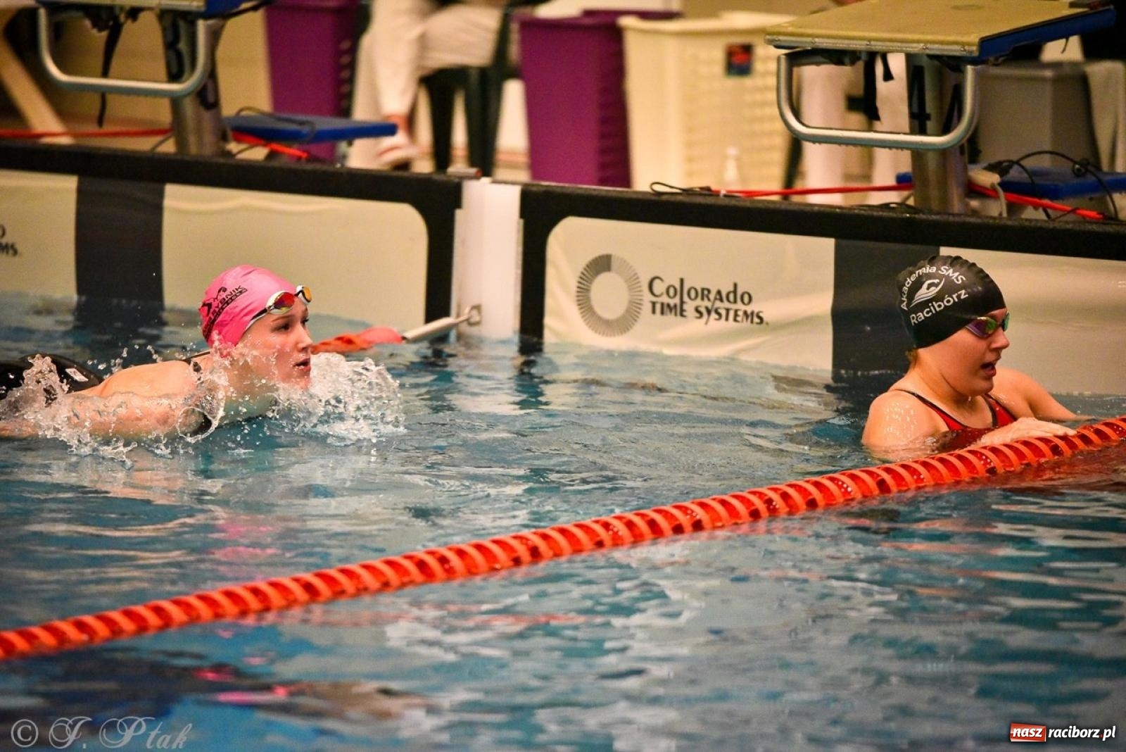 Zdjęcie w galerii na portalu naszraciborz.pl: Rywalizacja pływacka o Puchar Marszałka Województwa Śląskiego na krótkim basenie w Raciborzu wiadomości z regionu