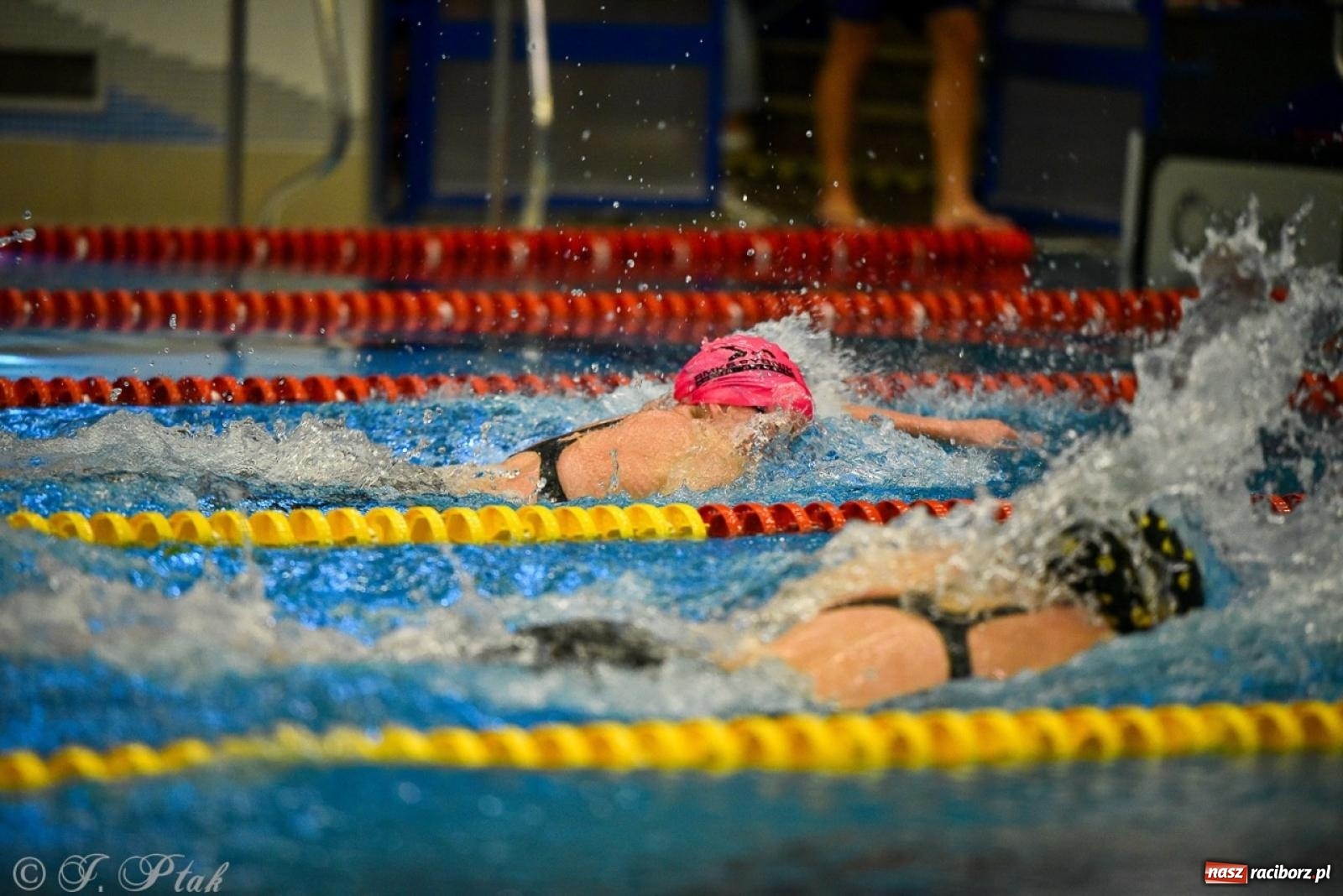 Zdjęcie w galerii na portalu naszraciborz.pl: Rywalizacja pływacka o Puchar Marszałka Województwa Śląskiego na krótkim basenie w Raciborzu wiadomości z regionu
