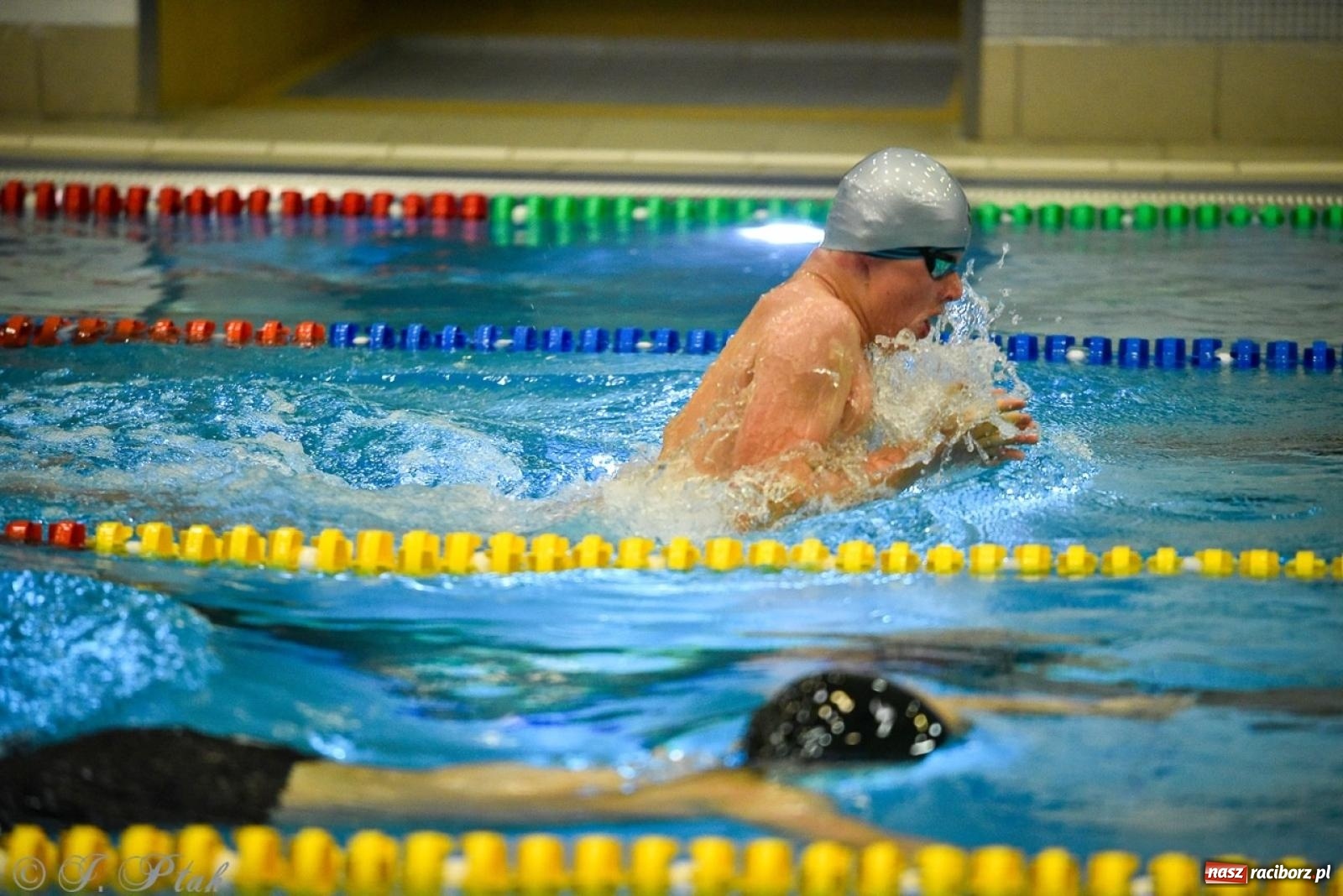 Zdjęcie w galerii na portalu naszraciborz.pl: Rywalizacja pływacka o Puchar Marszałka Województwa Śląskiego na krótkim basenie w Raciborzu wiadomości z regionu