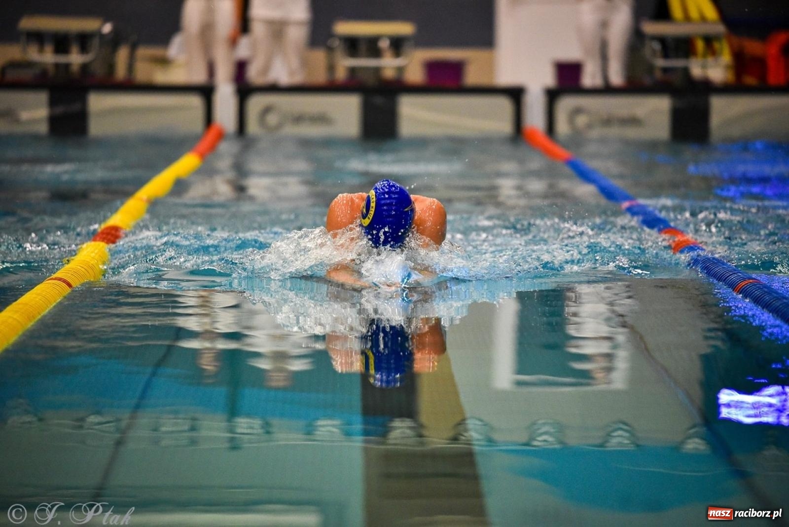 Zdjęcie w galerii na portalu naszraciborz.pl: Rywalizacja pływacka o Puchar Marszałka Województwa Śląskiego na krótkim basenie w Raciborzu wiadomości z regionu