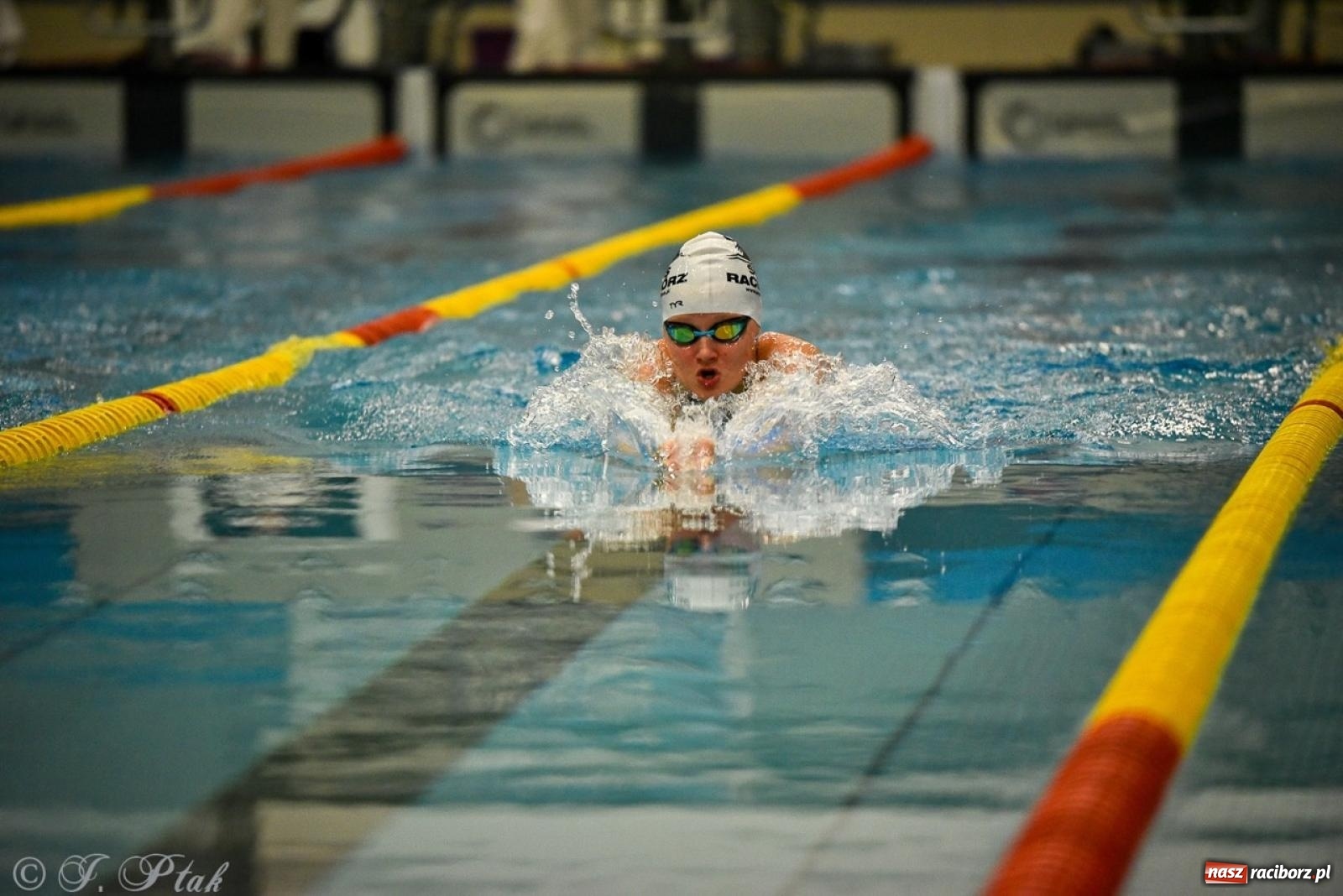 Zdjęcie w galerii na portalu naszraciborz.pl: Rywalizacja pływacka o Puchar Marszałka Województwa Śląskiego na krótkim basenie w Raciborzu wiadomości z regionu