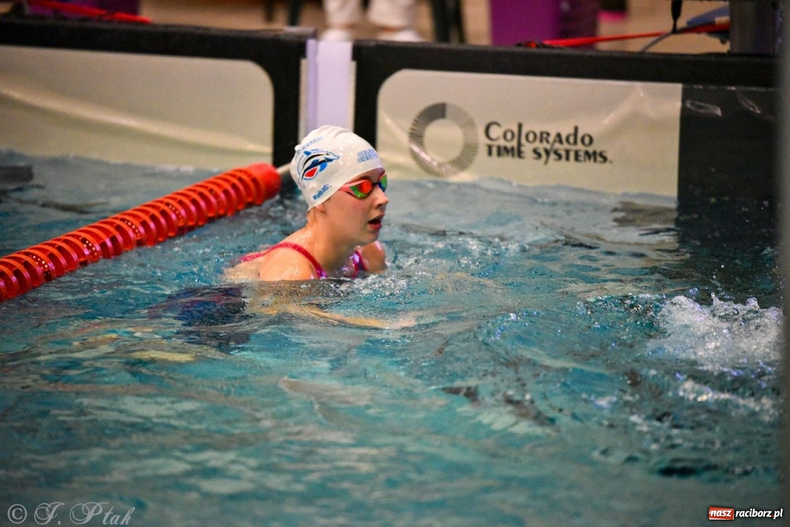 Zdjęcie w galerii na portalu naszraciborz.pl: Rywalizacja pływacka o Puchar Marszałka Województwa Śląskiego na krótkim basenie w Raciborzu wiadomości z regionu