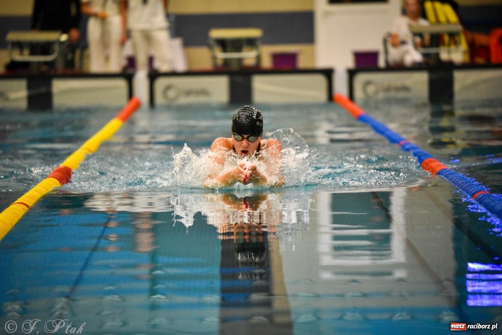 Zdjęcie w galerii na portalu naszraciborz.pl: Rywalizacja pływacka o Puchar Marszałka Województwa Śląskiego na krótkim basenie w Raciborzu wiadomości z regionu