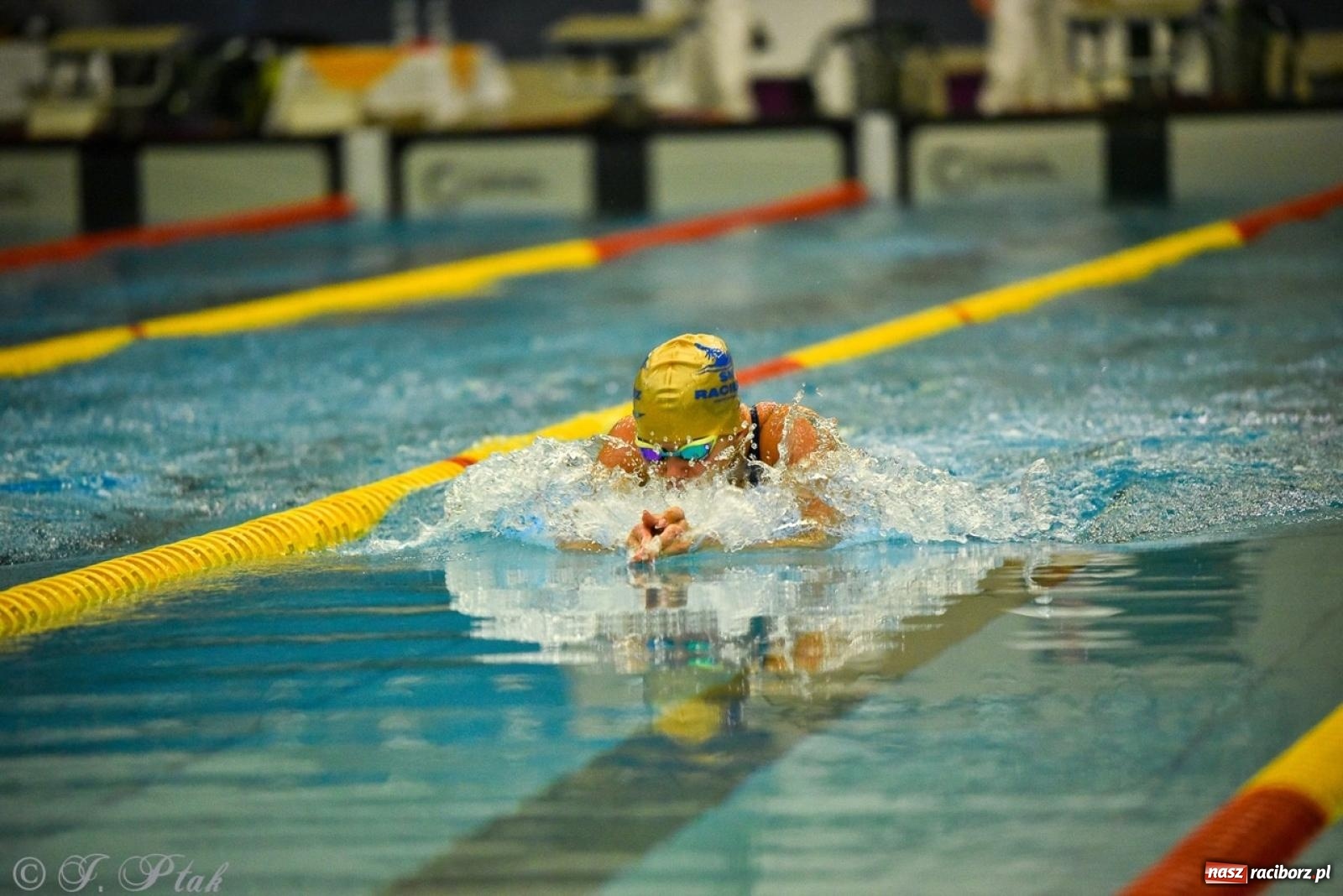 Zdjęcie w galerii na portalu naszraciborz.pl: Rywalizacja pływacka o Puchar Marszałka Województwa Śląskiego na krótkim basenie w Raciborzu wiadomości z regionu