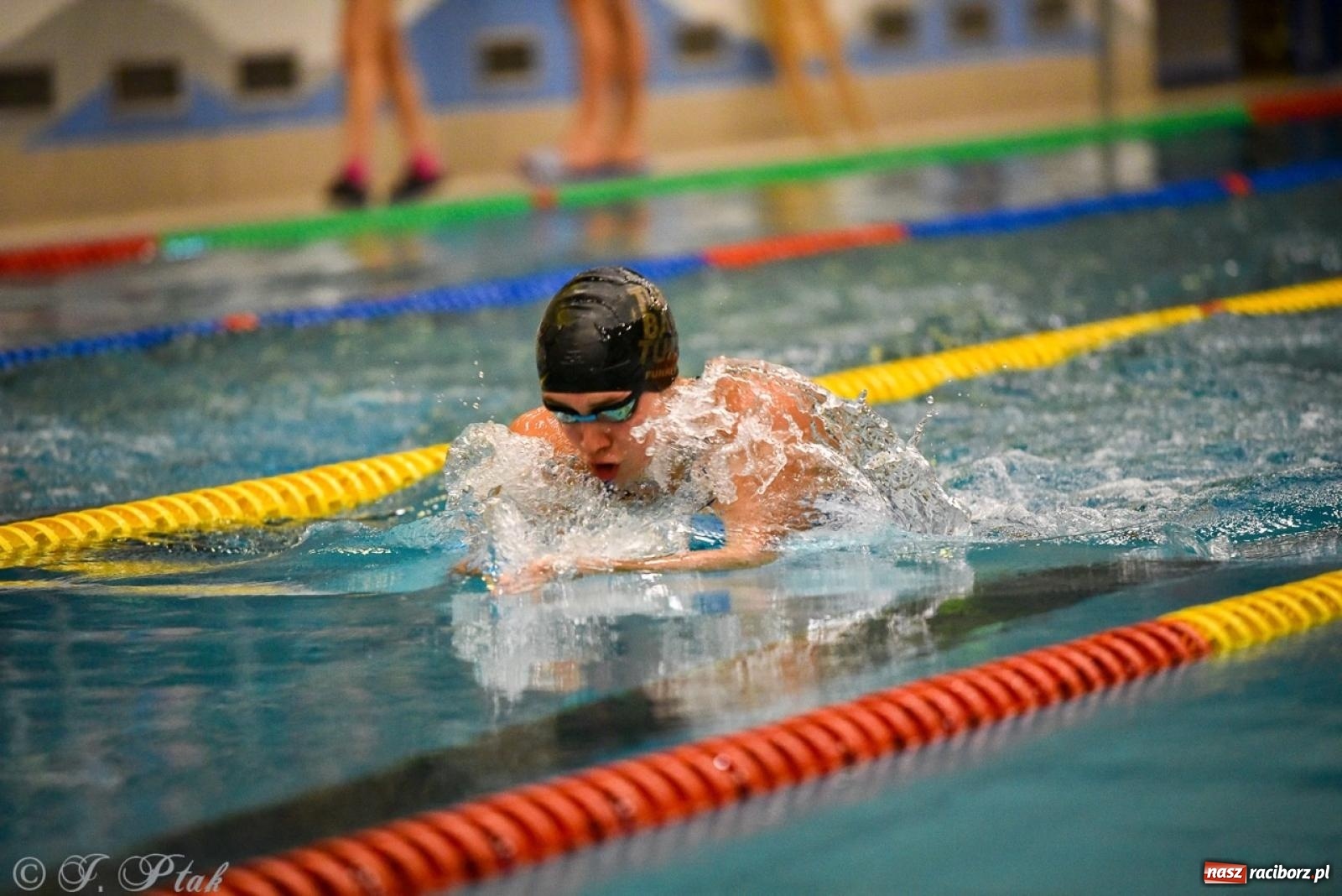 Zdjęcie w galerii na portalu naszraciborz.pl: Rywalizacja pływacka o Puchar Marszałka Województwa Śląskiego na krótkim basenie w Raciborzu wiadomości z regionu