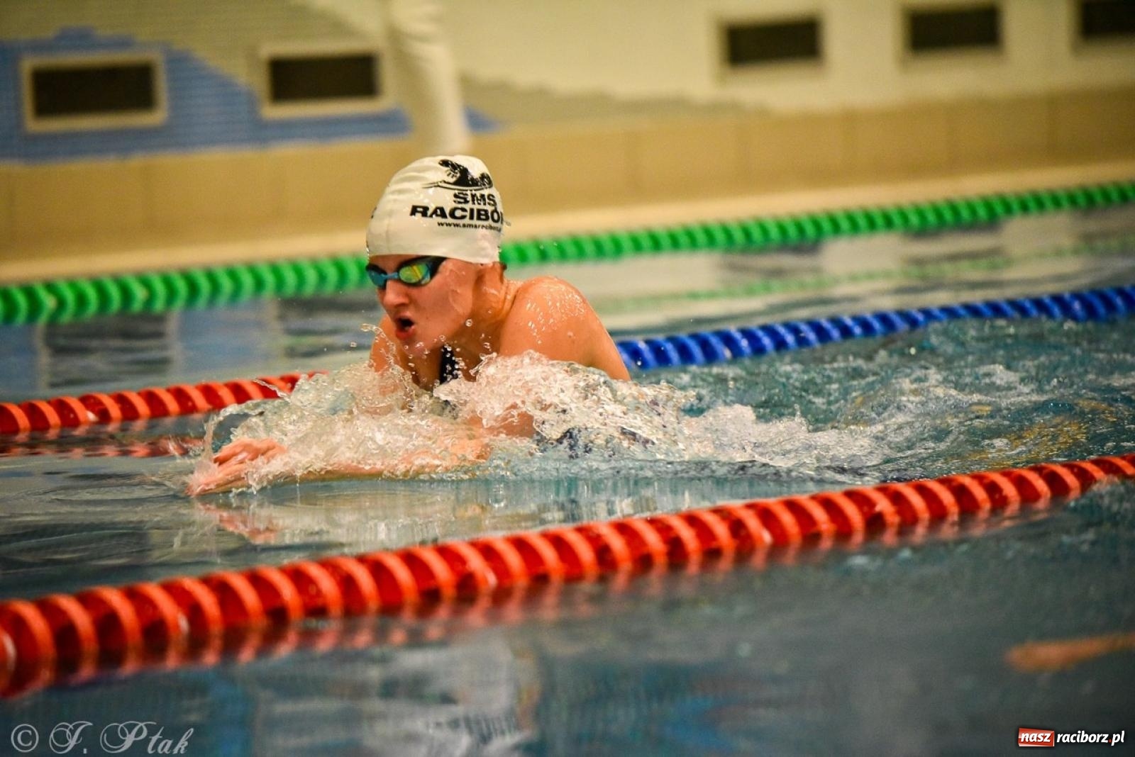 Zdjęcie w galerii na portalu naszraciborz.pl: Rywalizacja pływacka o Puchar Marszałka Województwa Śląskiego na krótkim basenie w Raciborzu wiadomości z regionu