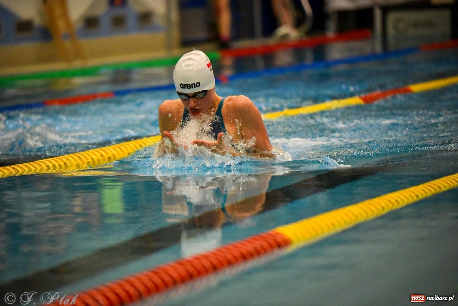 Zdjęcie w galerii na portalu naszraciborz.pl: Rywalizacja pływacka o Puchar Marszałka Województwa Śląskiego na krótkim basenie w Raciborzu wiadomości z regionu