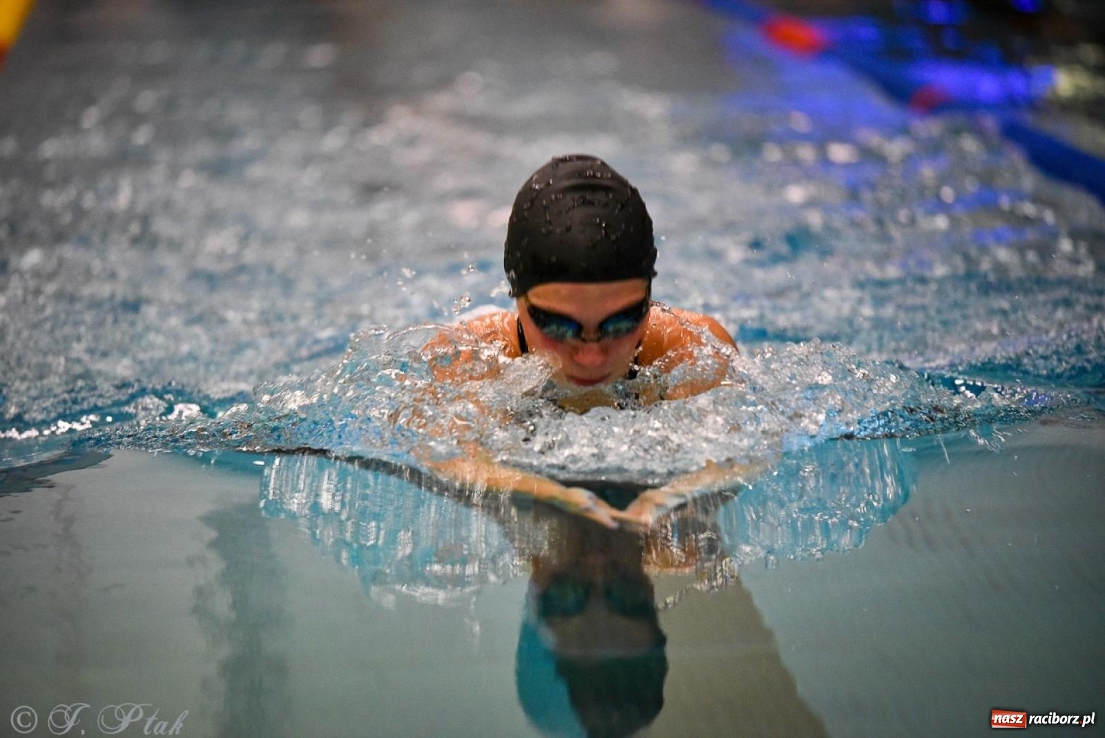 Zdjęcie w galerii na portalu naszraciborz.pl: Rywalizacja pływacka o Puchar Marszałka Województwa Śląskiego na krótkim basenie w Raciborzu wiadomości z regionu