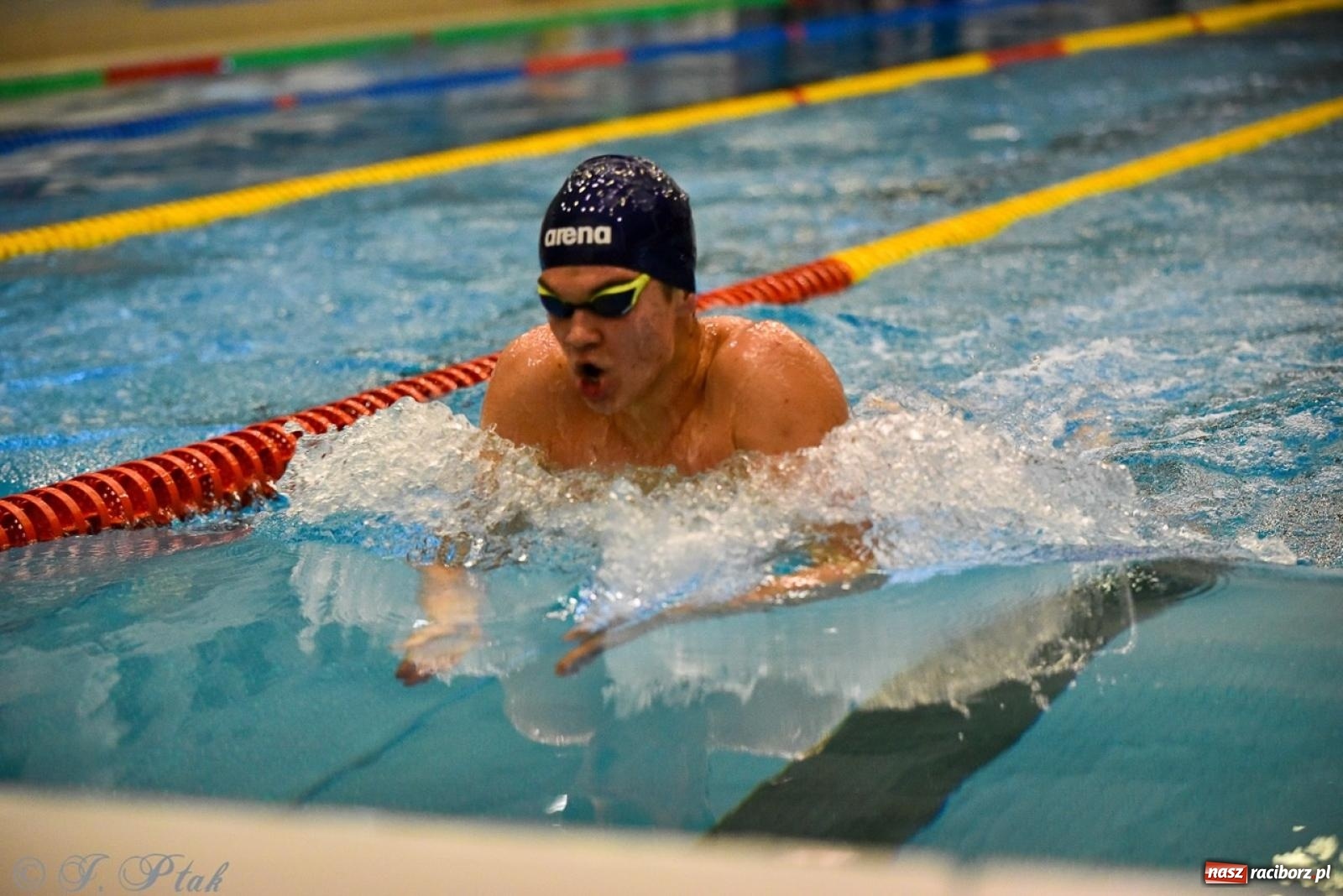 Zdjęcie w galerii na portalu naszraciborz.pl: Rywalizacja pływacka o Puchar Marszałka Województwa Śląskiego na krótkim basenie w Raciborzu wiadomości z regionu