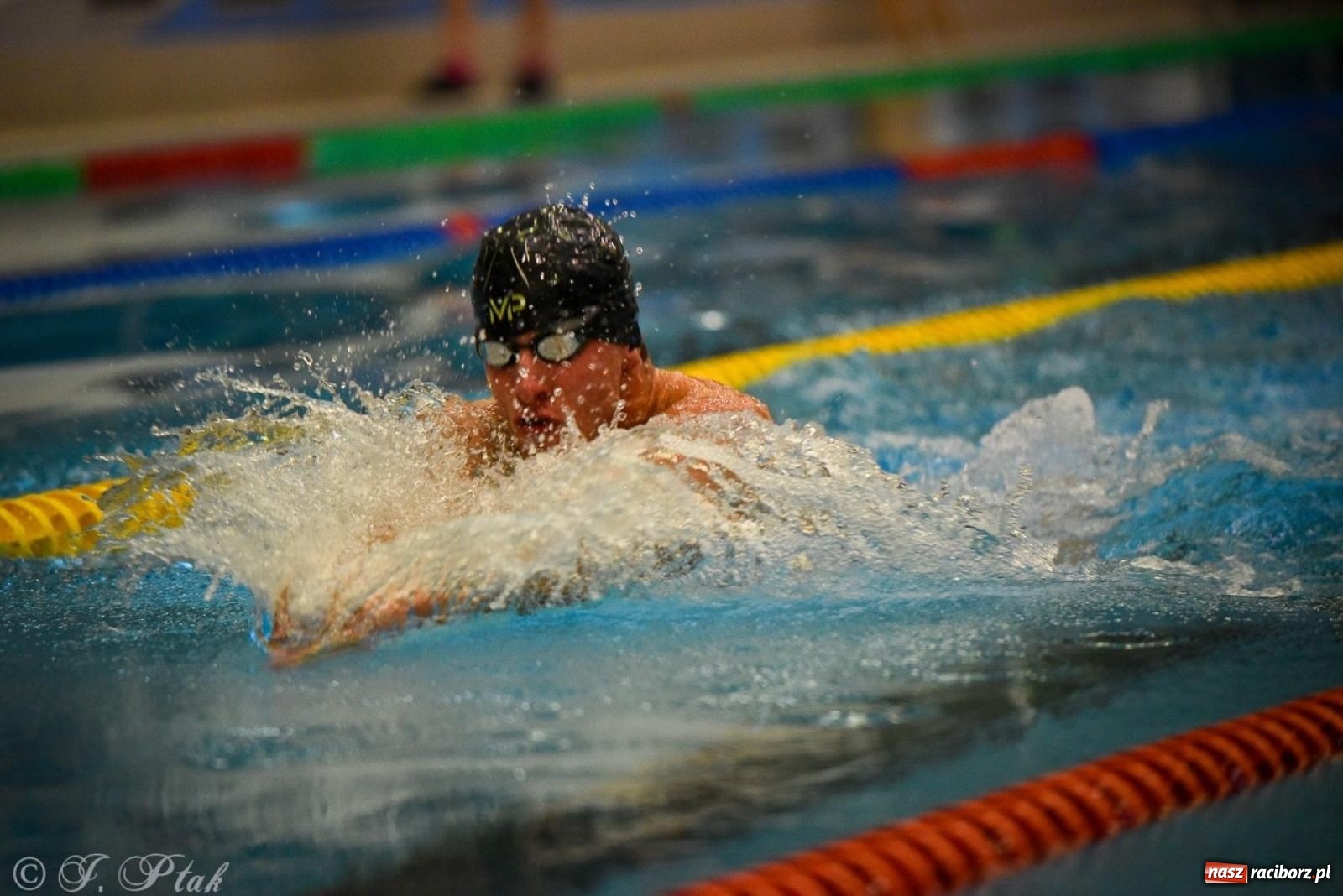 Zdjęcie w galerii na portalu naszraciborz.pl: Rywalizacja pływacka o Puchar Marszałka Województwa Śląskiego na krótkim basenie w Raciborzu wiadomości z regionu