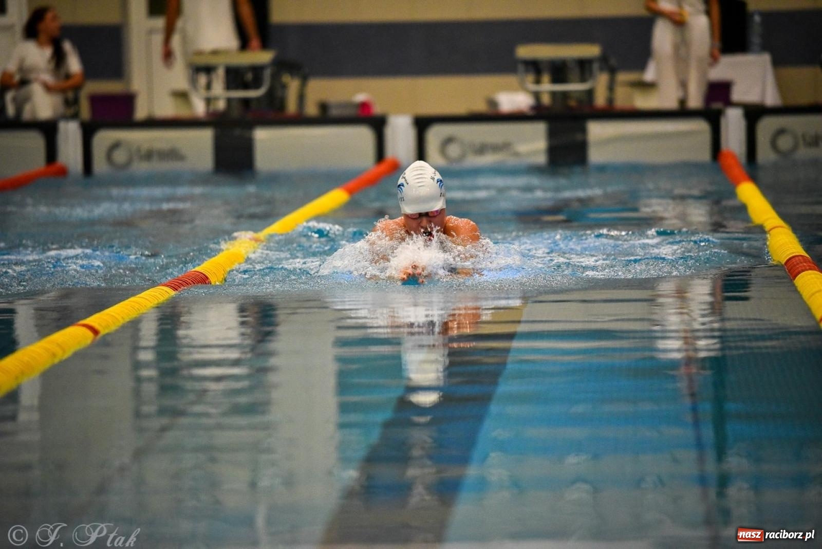 Zdjęcie w galerii na portalu naszraciborz.pl: Rywalizacja pływacka o Puchar Marszałka Województwa Śląskiego na krótkim basenie w Raciborzu wiadomości z regionu