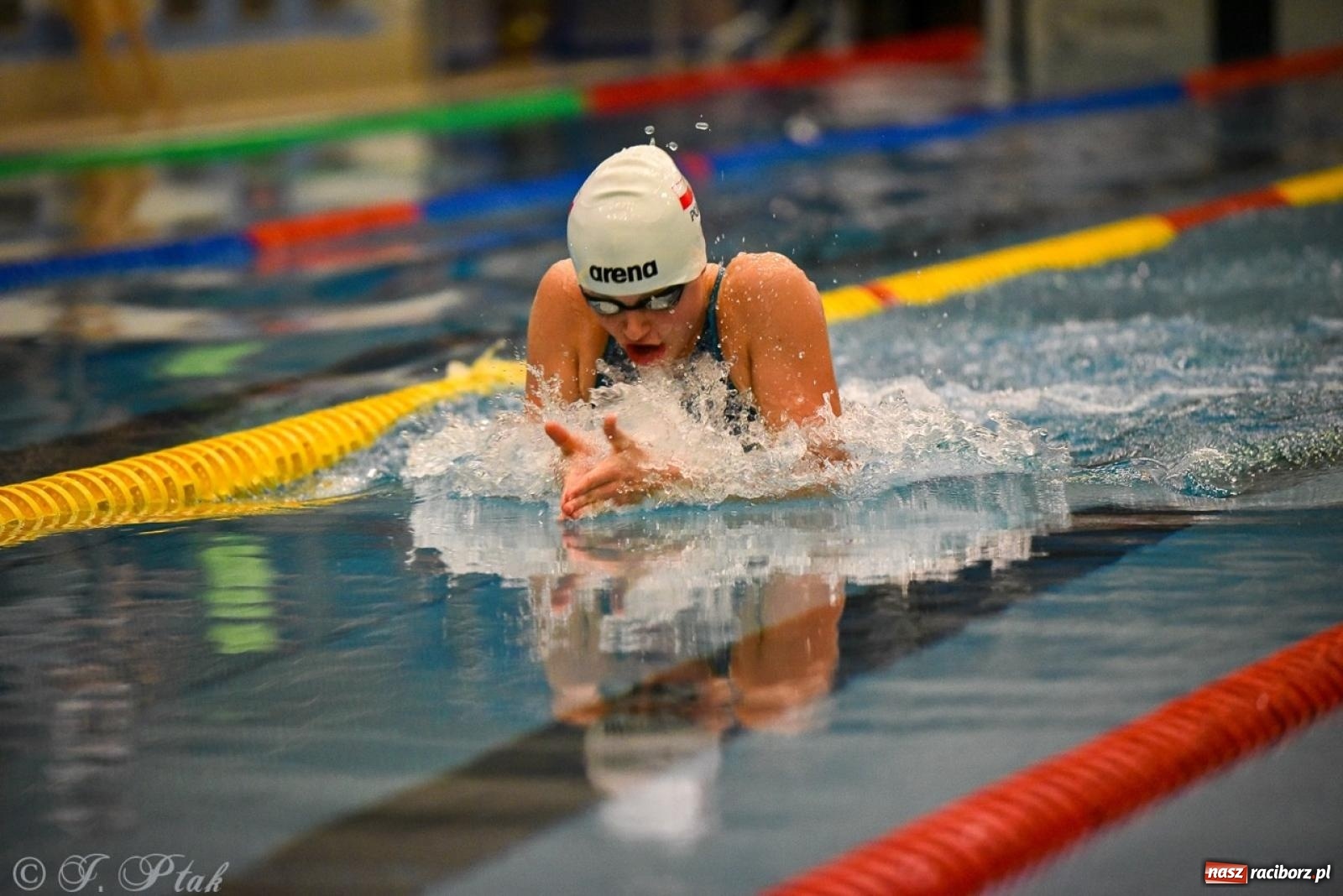 Zdjęcie w galerii na portalu naszraciborz.pl: Rywalizacja pływacka o Puchar Marszałka Województwa Śląskiego na krótkim basenie w Raciborzu wiadomości z regionu