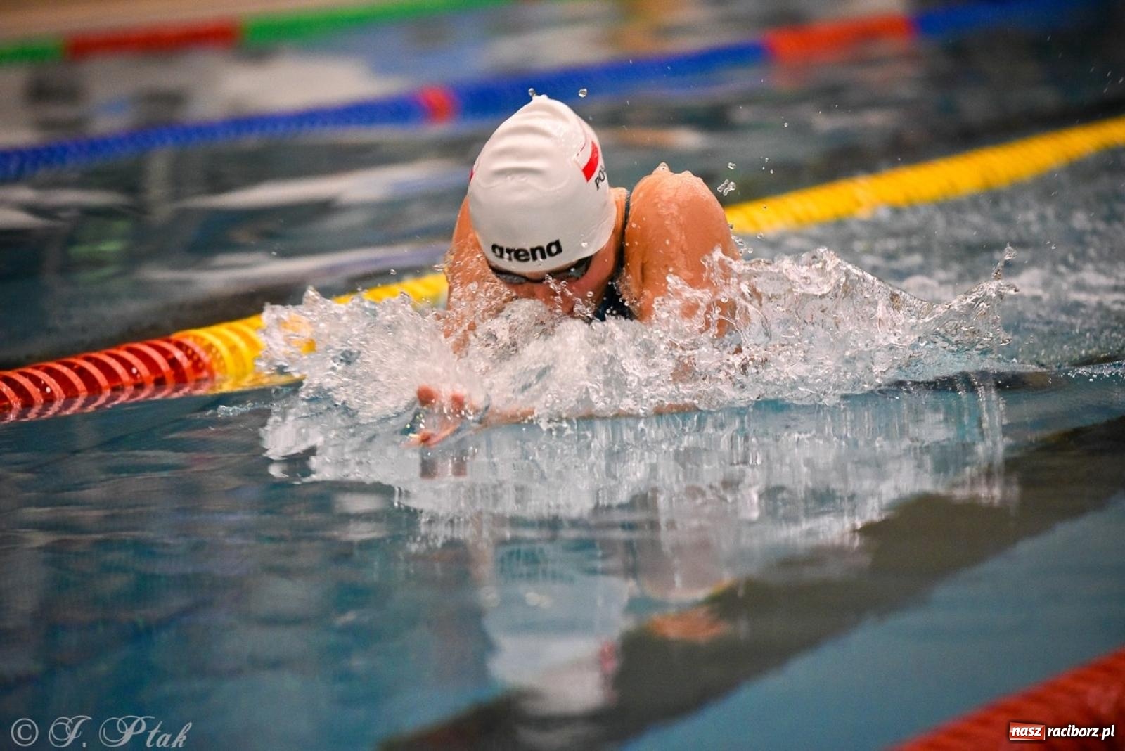 Zdjęcie w galerii na portalu naszraciborz.pl: Rywalizacja pływacka o Puchar Marszałka Województwa Śląskiego na krótkim basenie w Raciborzu wiadomości z regionu