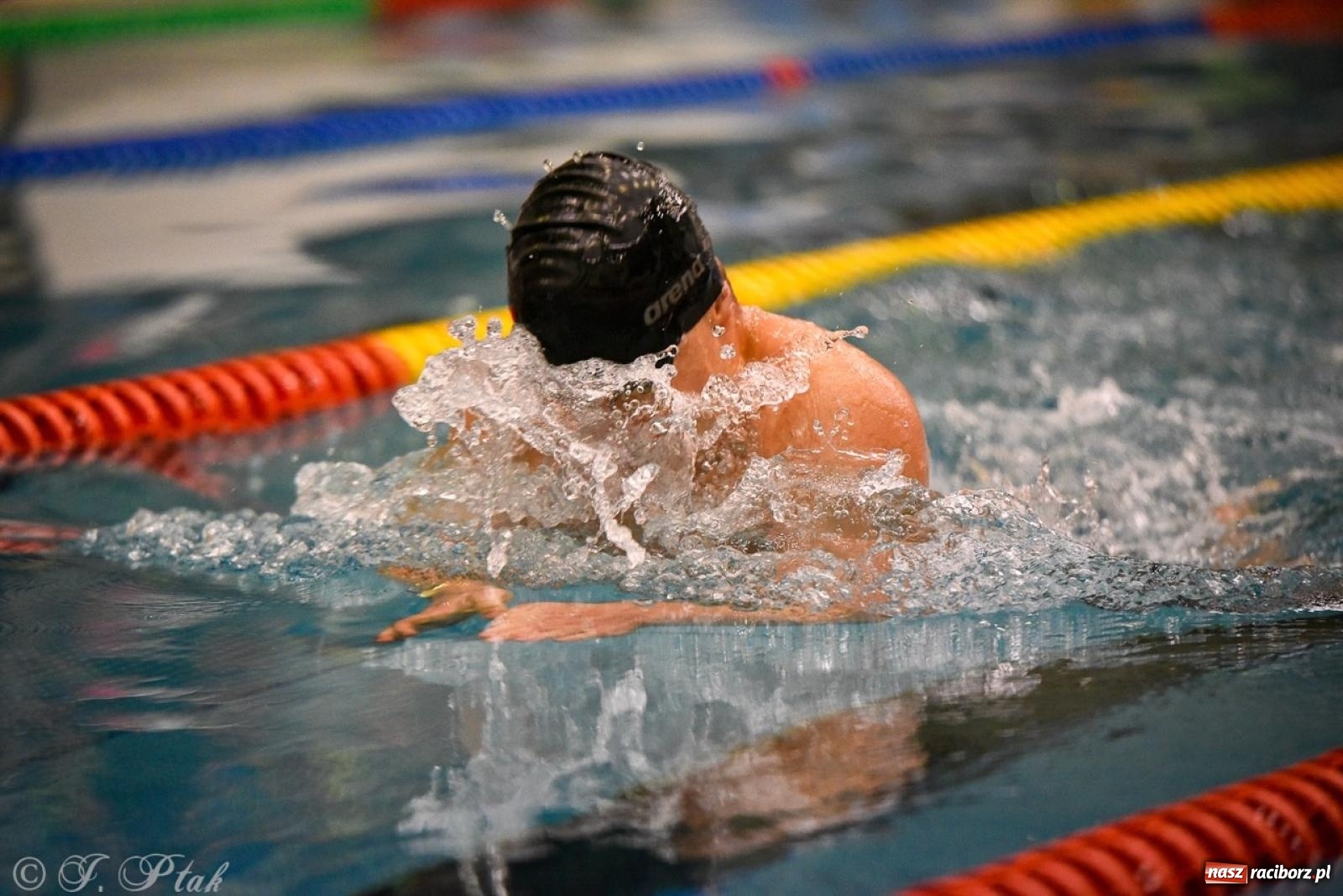 Zdjęcie w galerii na portalu naszraciborz.pl: Rywalizacja pływacka o Puchar Marszałka Województwa Śląskiego na krótkim basenie w Raciborzu wiadomości z regionu