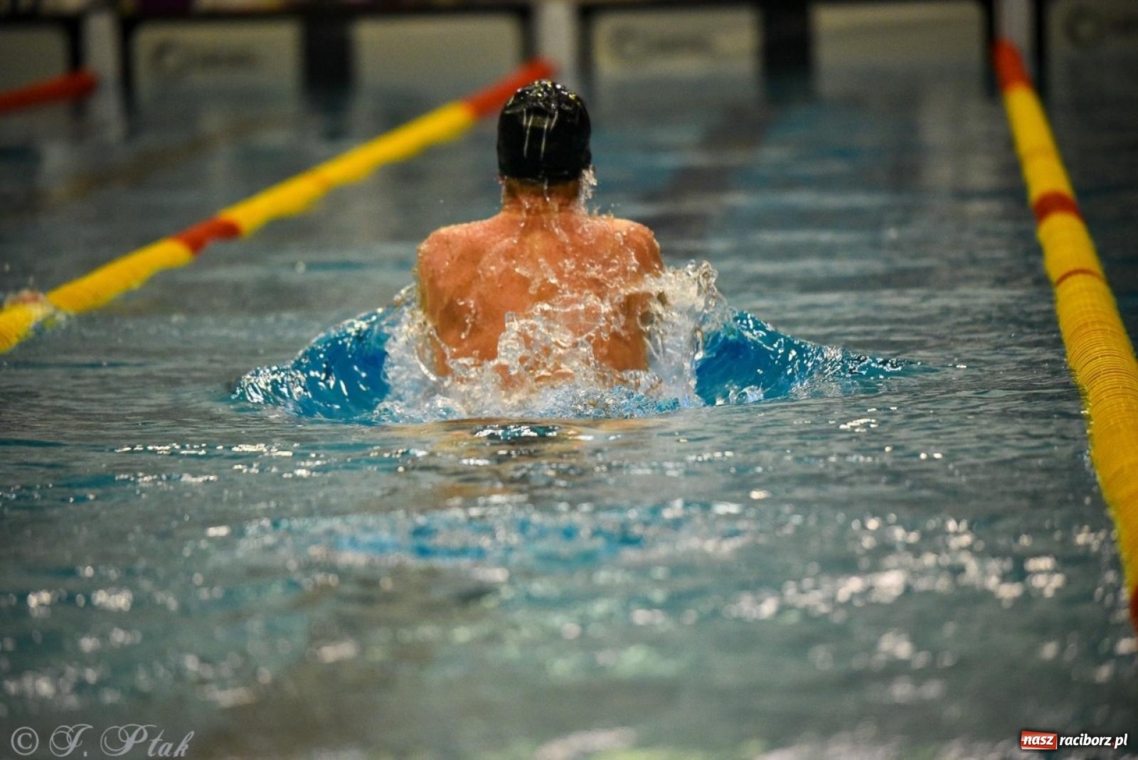 Zdjęcie w galerii na portalu naszraciborz.pl: Rywalizacja pływacka o Puchar Marszałka Województwa Śląskiego na krótkim basenie w Raciborzu wiadomości z regionu