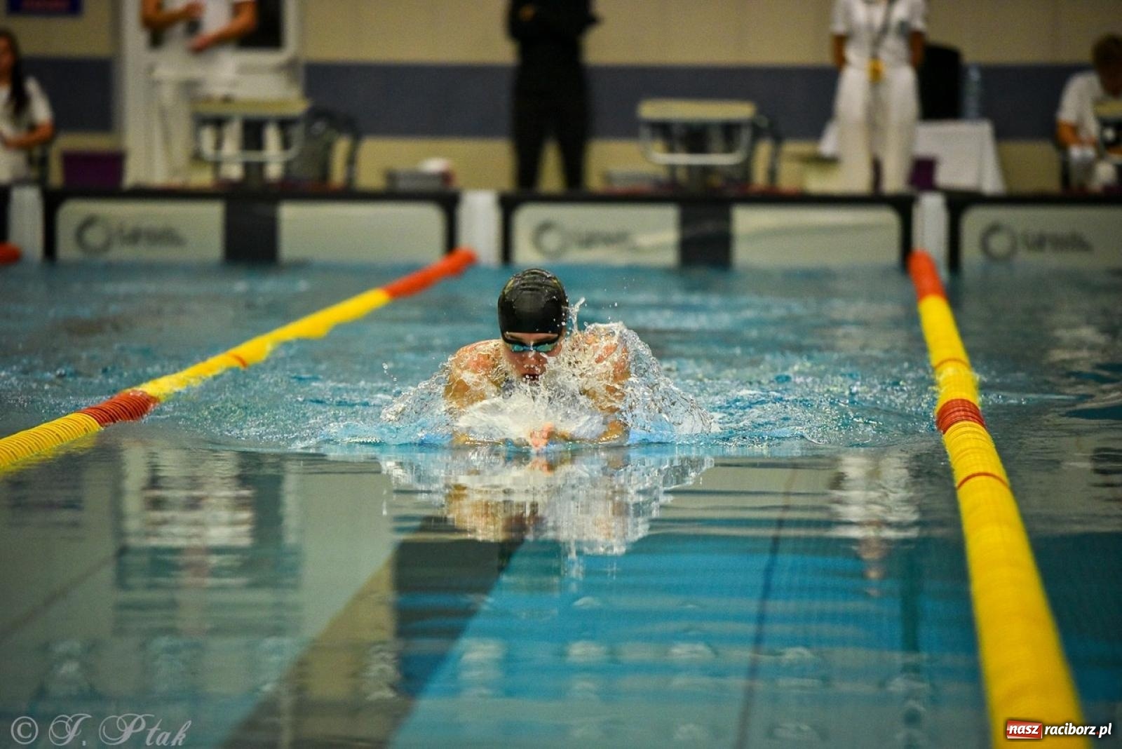 Zdjęcie w galerii na portalu naszraciborz.pl: Rywalizacja pływacka o Puchar Marszałka Województwa Śląskiego na krótkim basenie w Raciborzu wiadomości z regionu