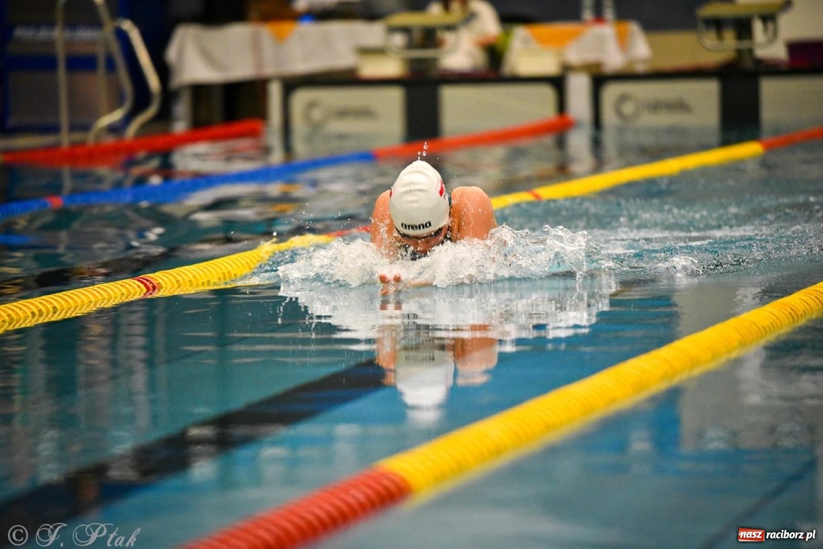 Zdjęcie w galerii na portalu naszraciborz.pl: Rywalizacja pływacka o Puchar Marszałka Województwa Śląskiego na krótkim basenie w Raciborzu wiadomości z regionu